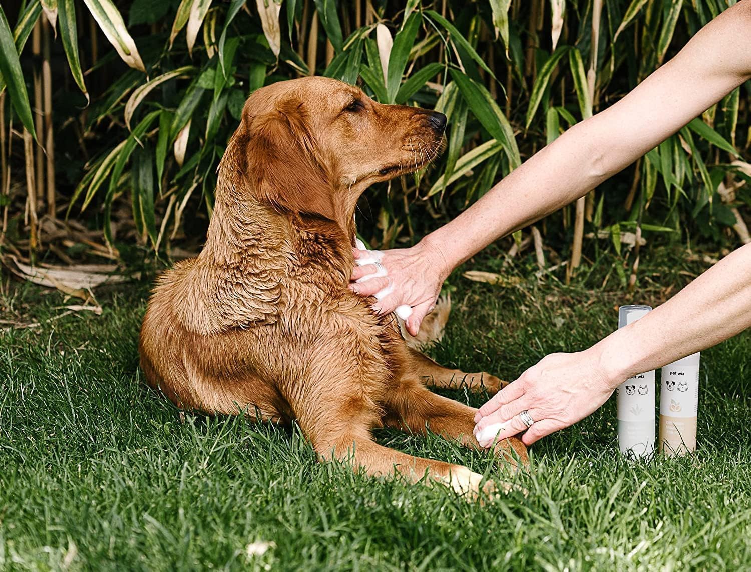 Dry Wash Shampoo For Pets - Soothing & Deodorizing, Natural Ingredients, Quick Drying & No Rinsing Required (Coconut & Oat)