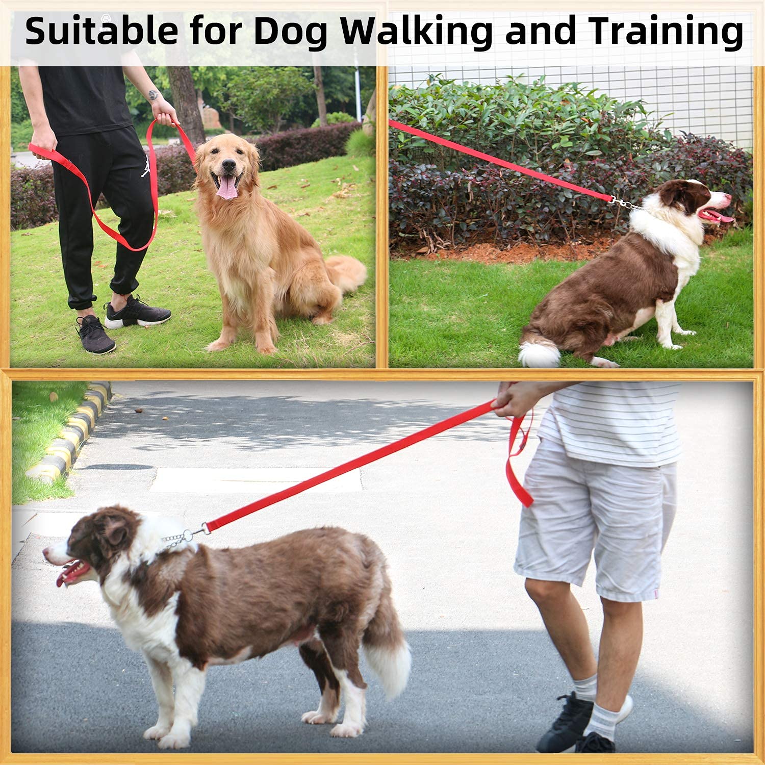 Amagood 6 Ft Puppy/Dog Leash, Strong And Durable Traditional Style Leash With Easy To Use Collar Hook,Dog Lead Great For Small And Medium And Large Dog (1 In X 6 Ft(Pack Of 1), Red)