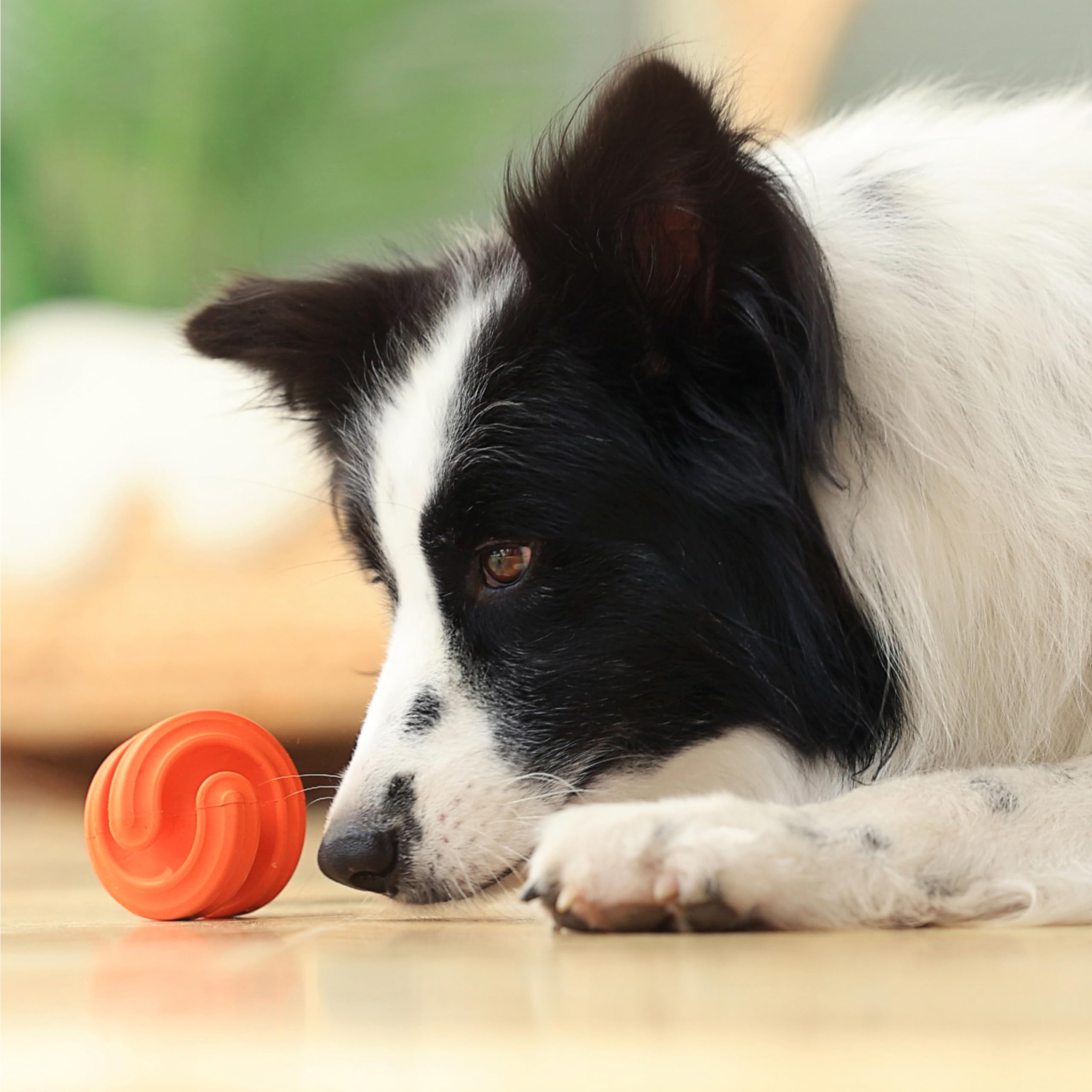 Petdreamhouse Chewtastic Geometrics Natural Rubber Enrichment Dog Toy Geo-Hex Orange, Engaging Rolling And Unpredictable Bounce,