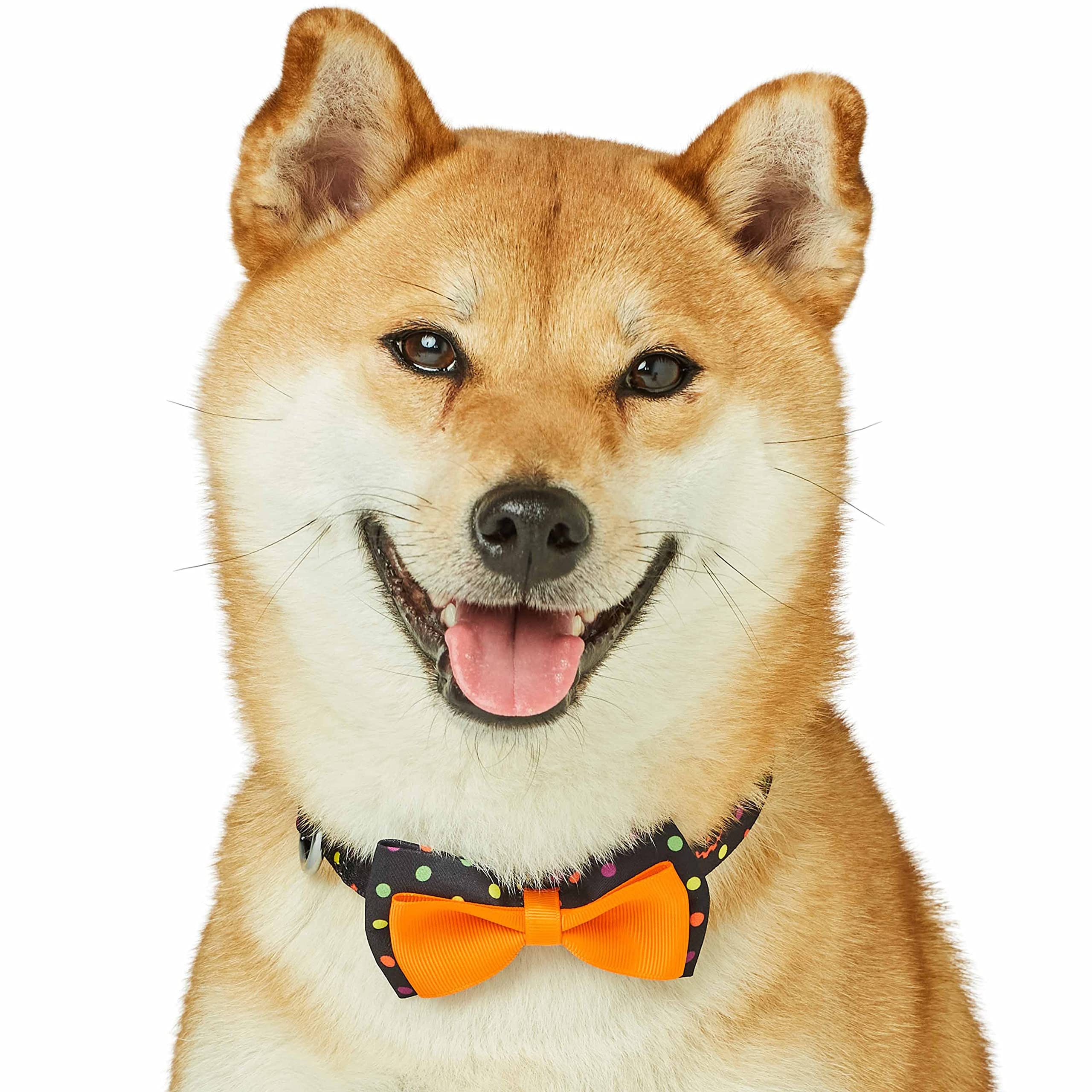 Blueberry Pet Halloween Polka Dot Adjustable Dog Collar With Detachable Bowtie, Small, Neck 12'-16'