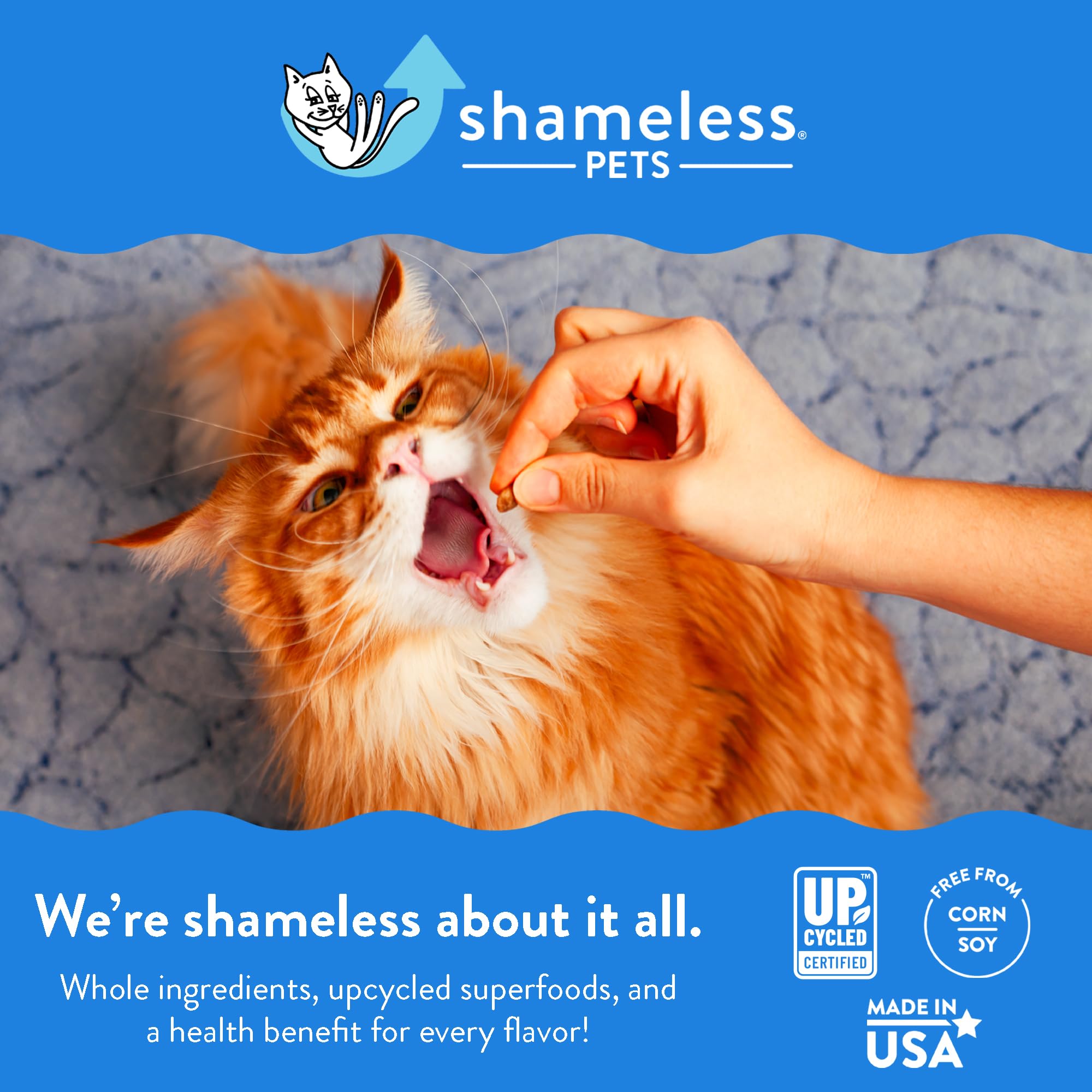 Shameless Pets Crunchy Cat Treats - Kitty Treats for Cats with Skin & Coat Support, Natural Ingredients Kitten Treats with Real