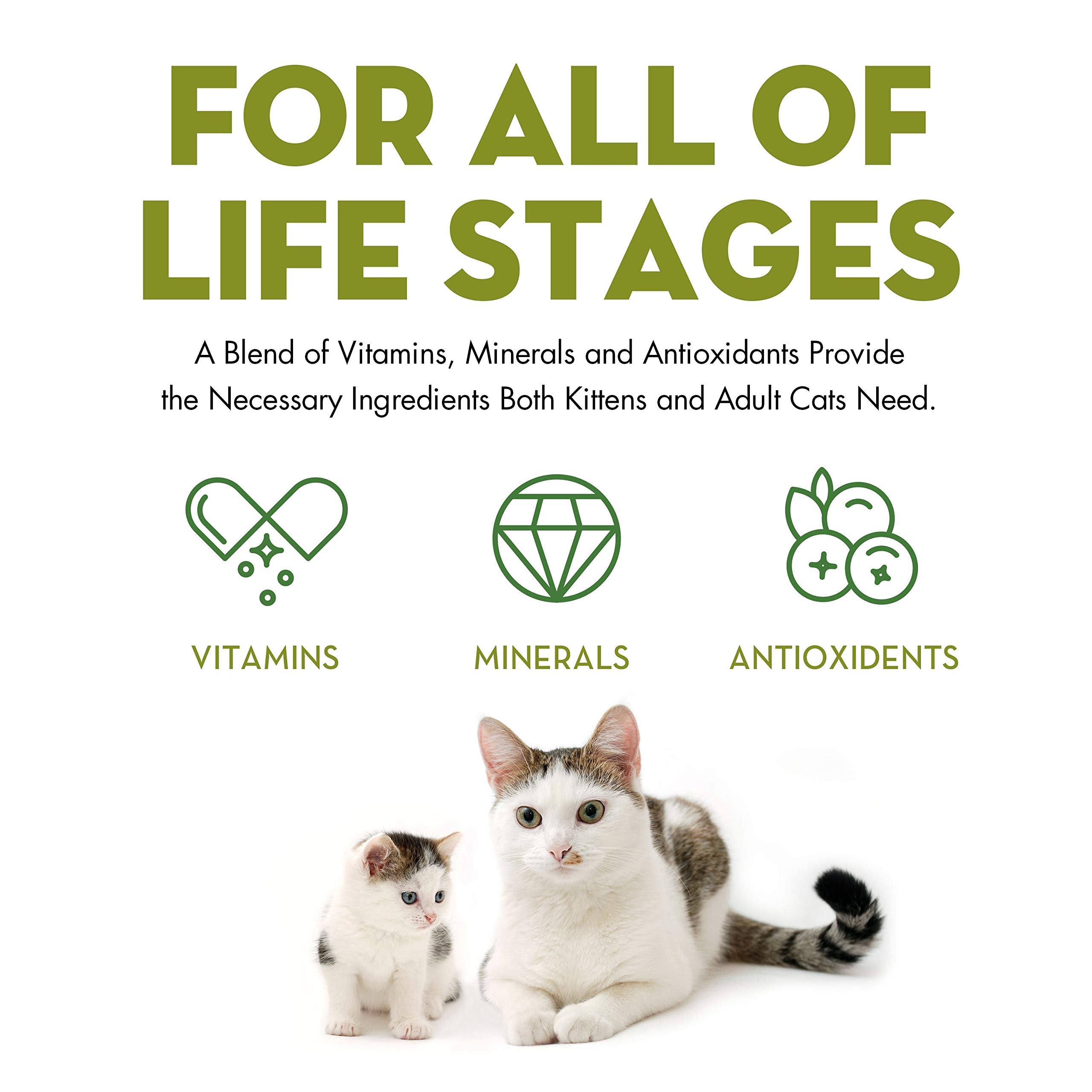 AvoDerm Natural Grain Free Wet Cat Food, Chicken Chunks in Gravy, 3 oz Cans, Pack of 24