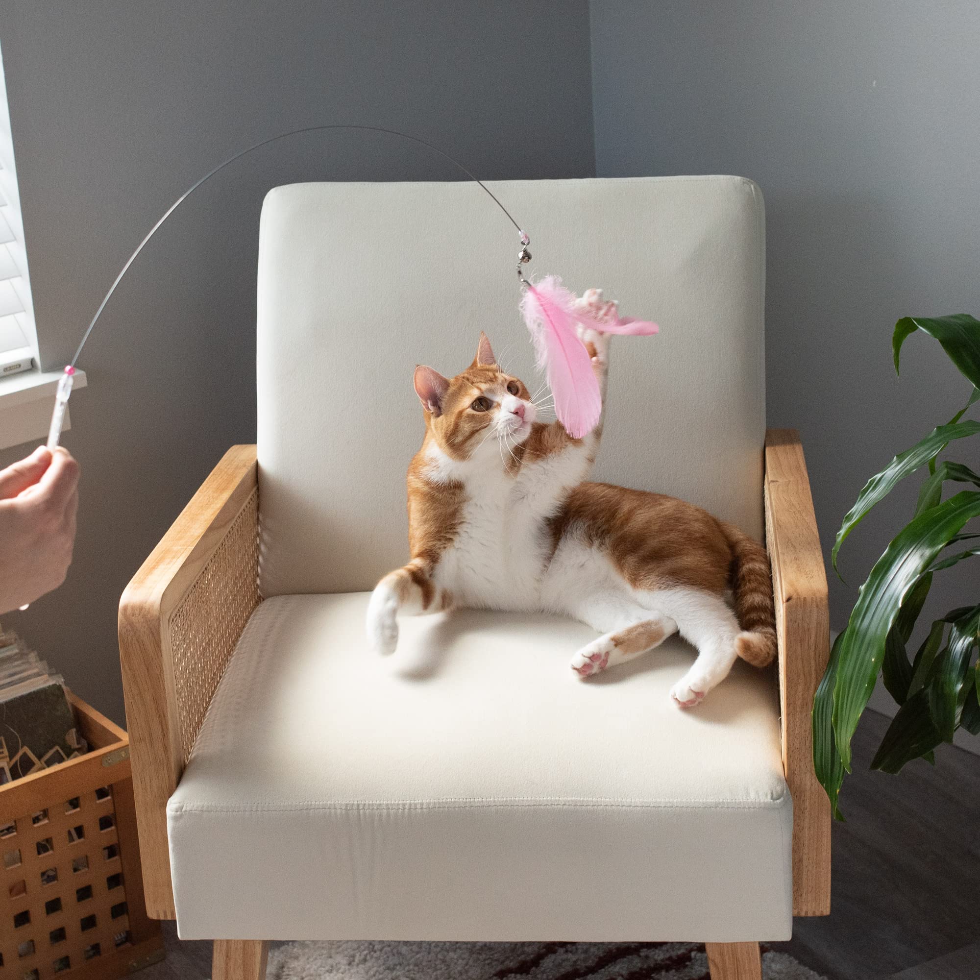 Furhaven 2-Pack Teaser Cat Wand Toy Set For Indoor Cats, Interactive Play & Exercise - Dizzy Kitty Feather Wand - Pink (Hot Pink/Light Pink), Set Of 2