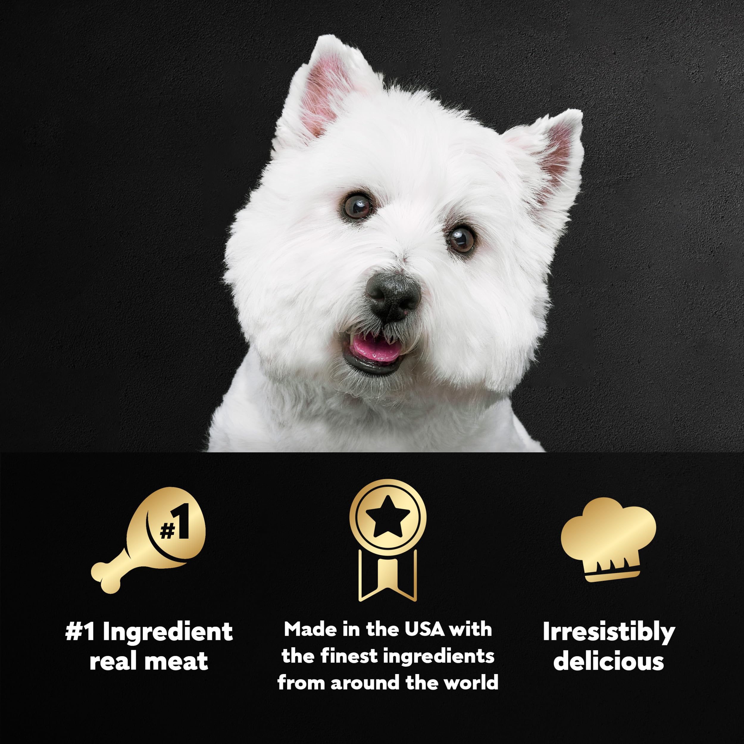 Cesar Wet Dog Food Loaf & Topper in Sauce Angus Beef Flavor with Bacon & Cheese, 3.5 oz. Easy Peel Trays (24 Count, Pack of 1)