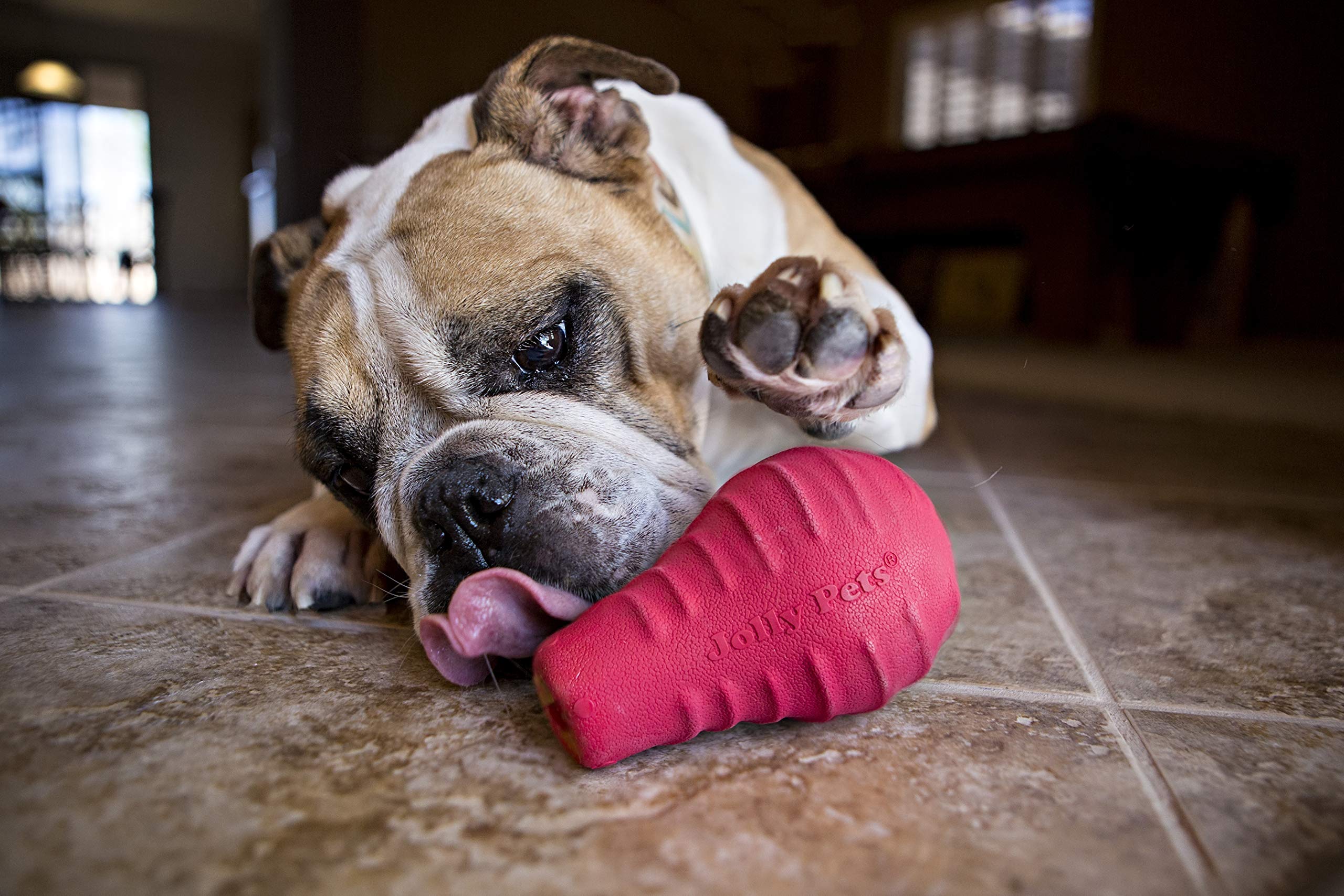 Jolly Pets Tuff Range Tuff Toppler Rocking Treat Dispenser Dog Toy, 5 Inches, Red