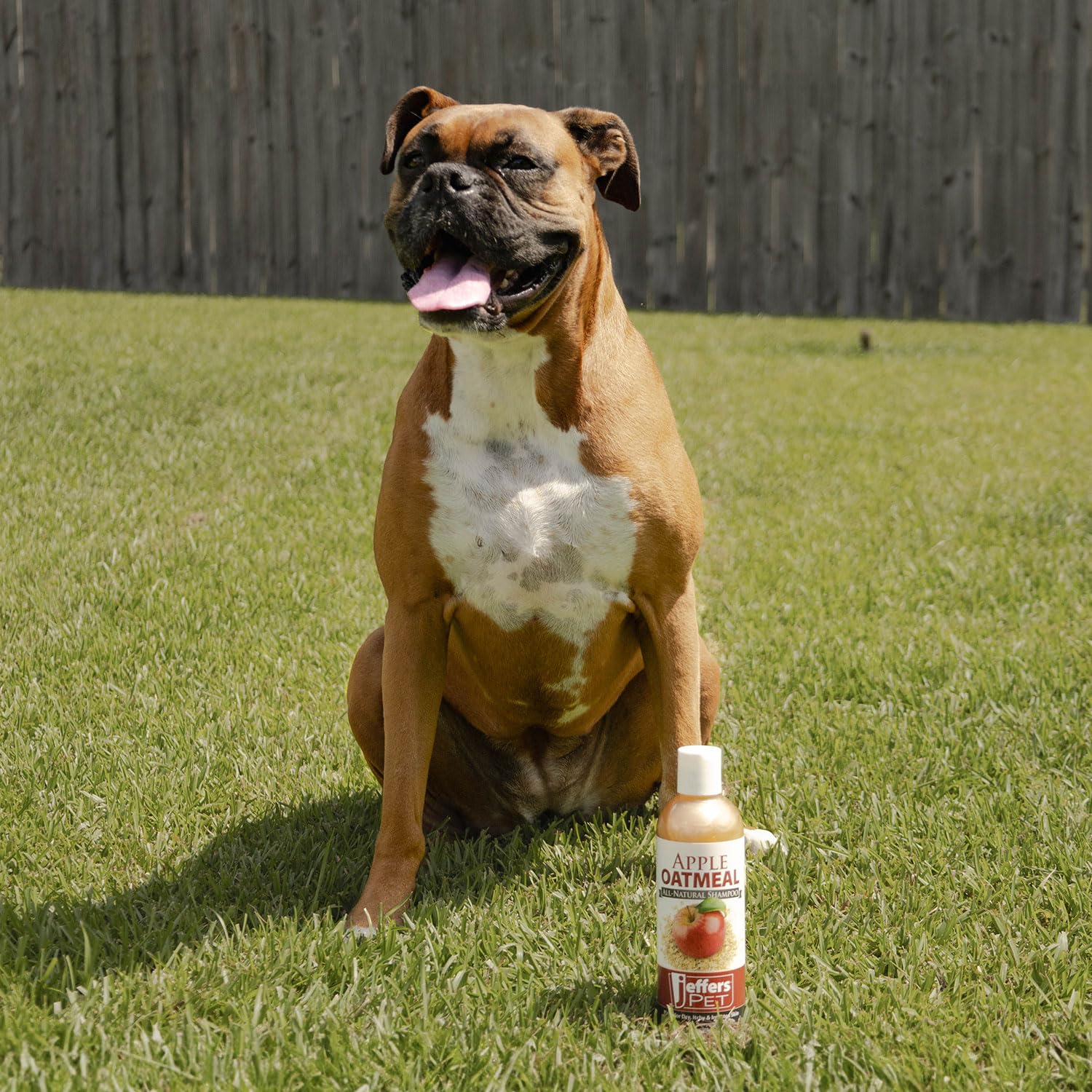 Jeffers Pet Baking Soda Pet Shampoo - Deodorizing Dog & Cat Wash With Aloe Vera, Deep Cleansing & Odor Control, Gentle For Sensi