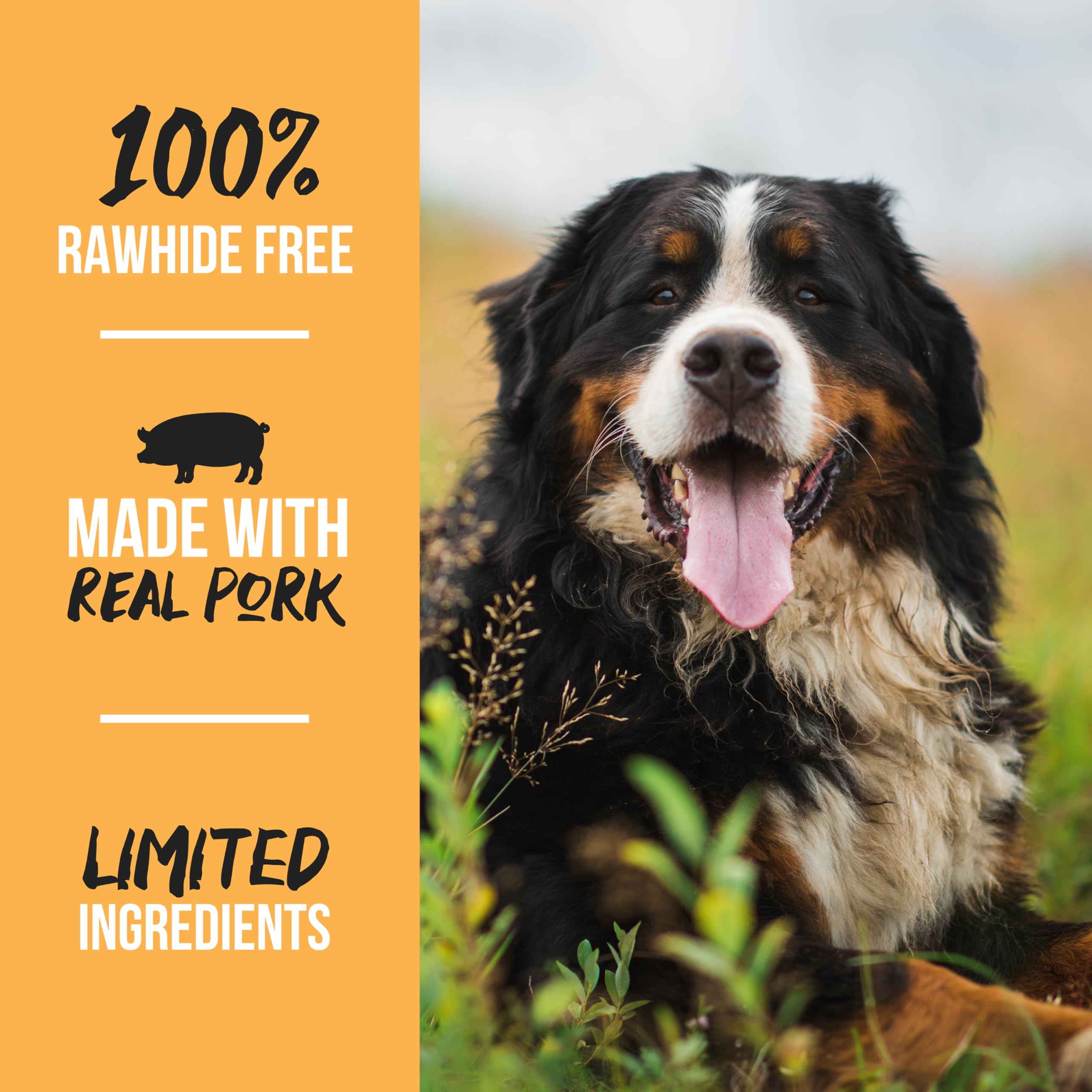 Grillerz Pork Femur Bone, 1 Count, Rawhide Free, All Natural Treat for All Breeds, Gluten Free, Long Lasting, Easy to Digest, Fo