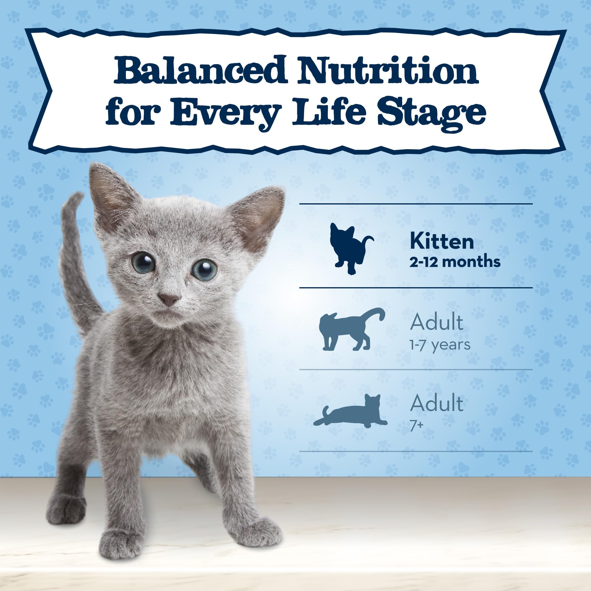 Blue Buffalo Baby BLUE Natural Kitten Wet Cat Food, Healthy Growth Formula with DHA, Chicken Recipe Multi-Pack, 3-oz. Cans (6 Co