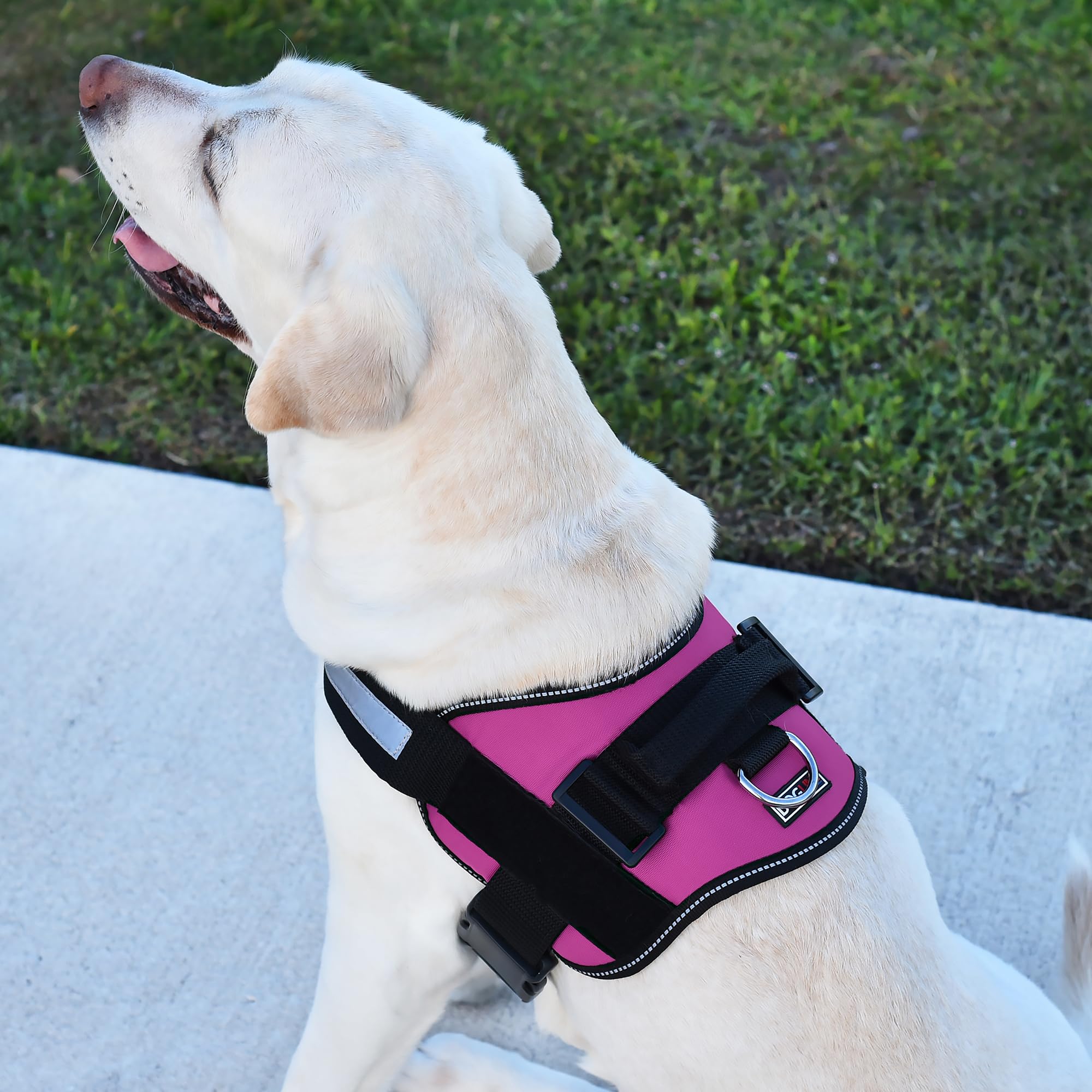 Dogline Reflective No-Pull Adjustable Vest with Handle for Walking, Training, Service Breathable No - Choke Harness for Small, M