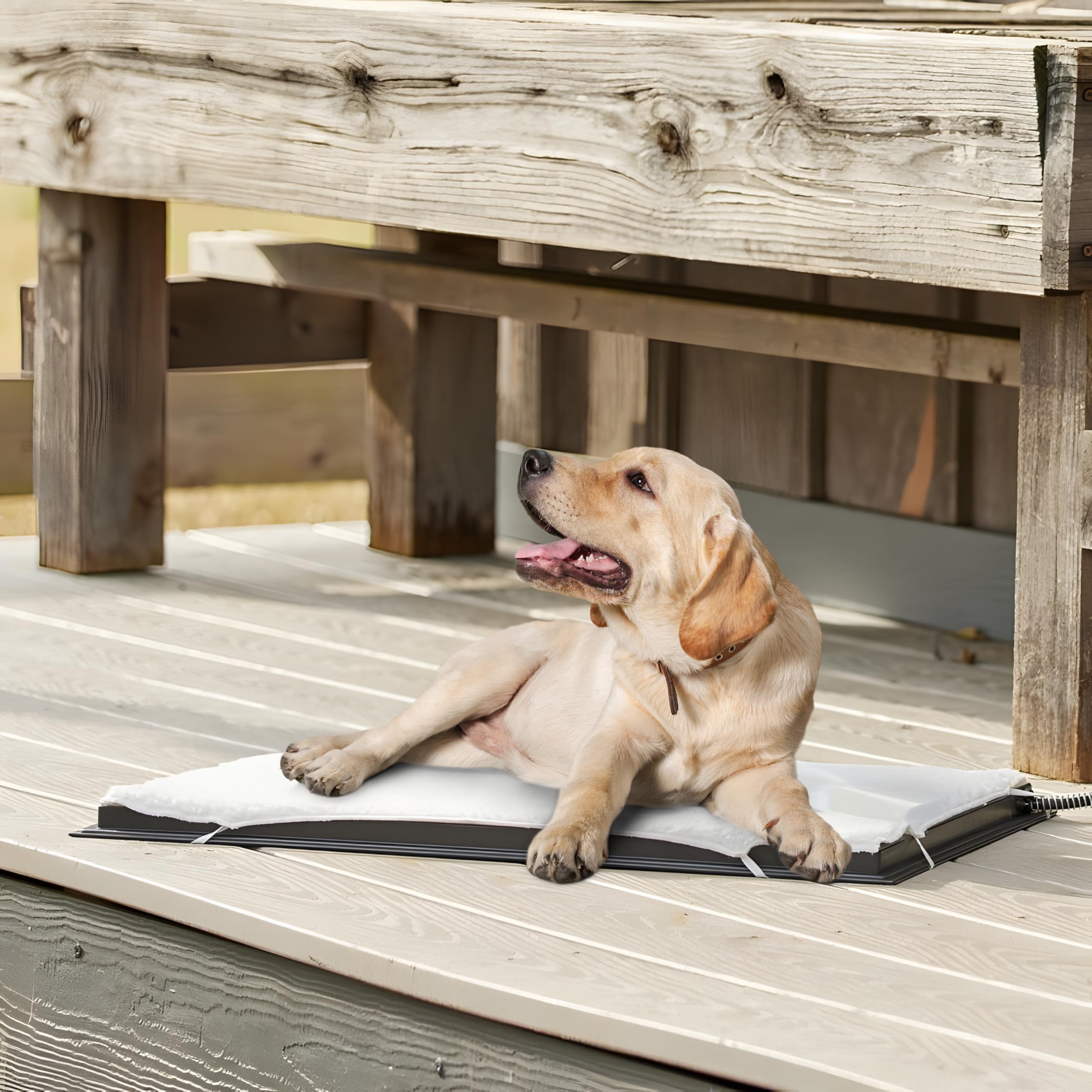 Farm Innovators HM-100L Heated Pet Mat - 24"x29", Plastic, Black, Fleece Cover, Anti-Chew Cord, 100W for Dogs & Cats