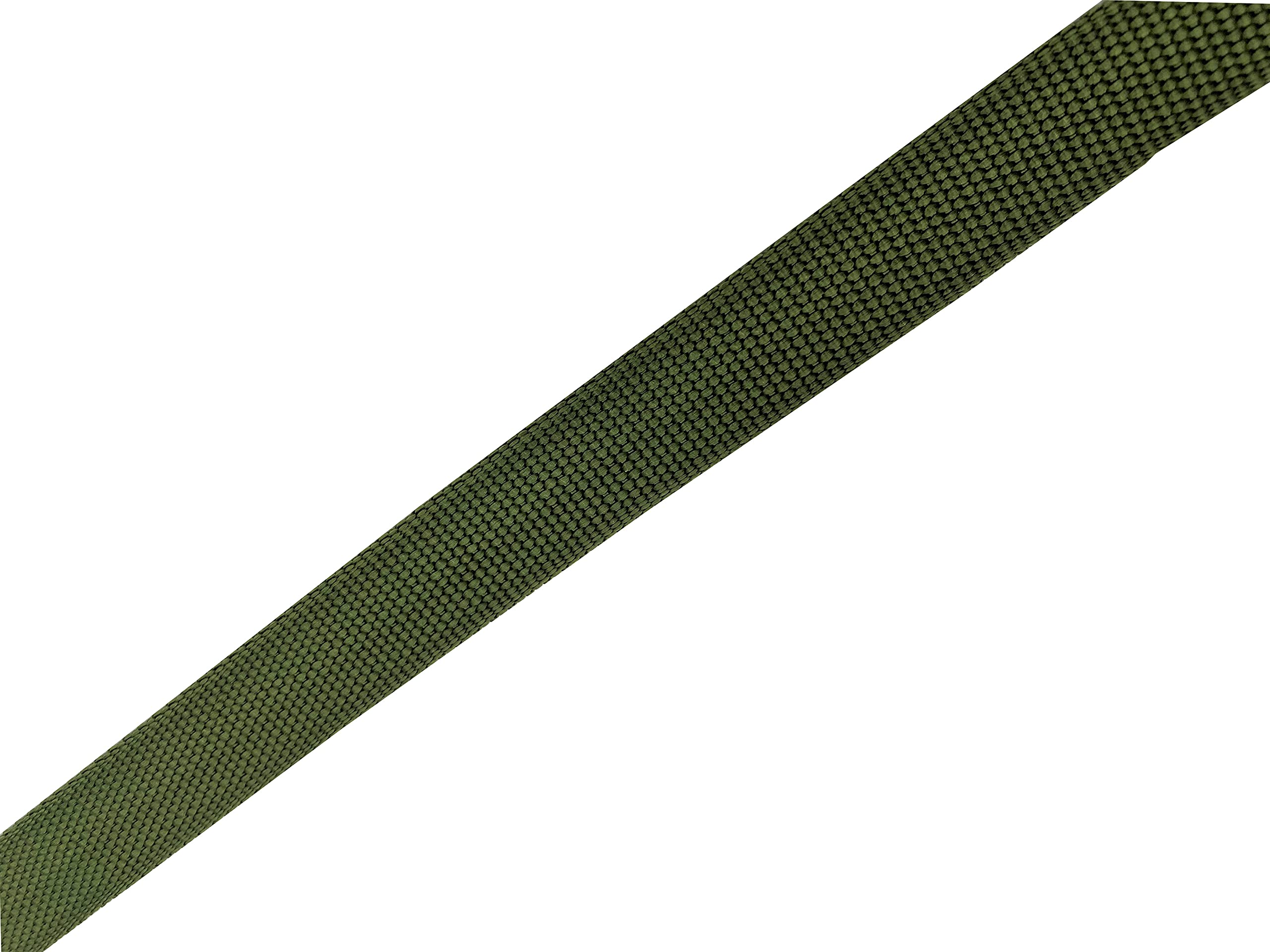 Nylon Dog Leash 16 Feet Long, Walking Training Dog Leashes For Medium Large Dogs(1'' X 16 Ft, Green)