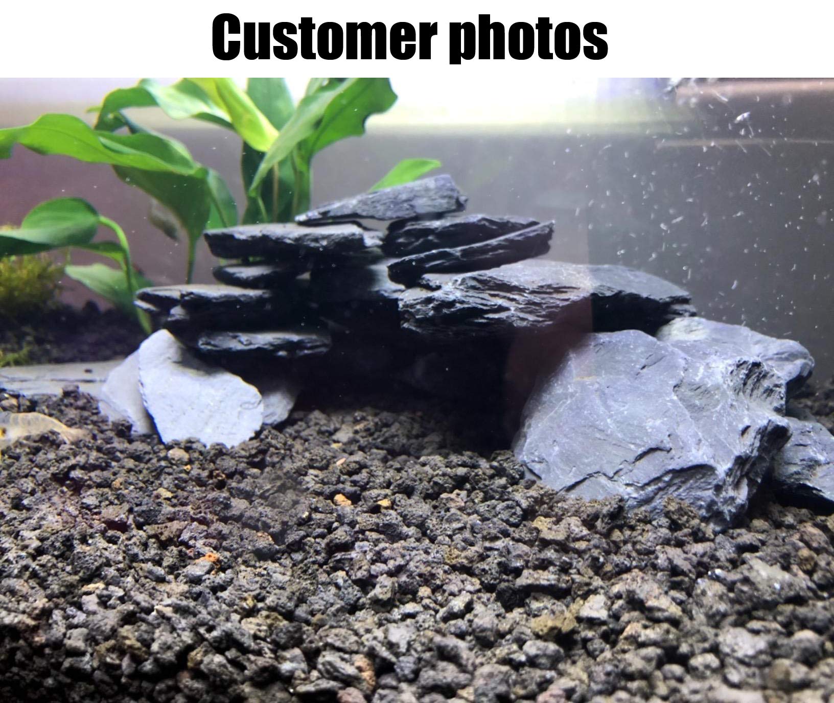 Voulosimi Natural Slate Rocks 3 To 5 Inch Ph Neutral Stone Perfect Rocks For Aquariums, Landscaping Model,Tank Decoration,Amphibian Enclosures(7.5 Lbs)