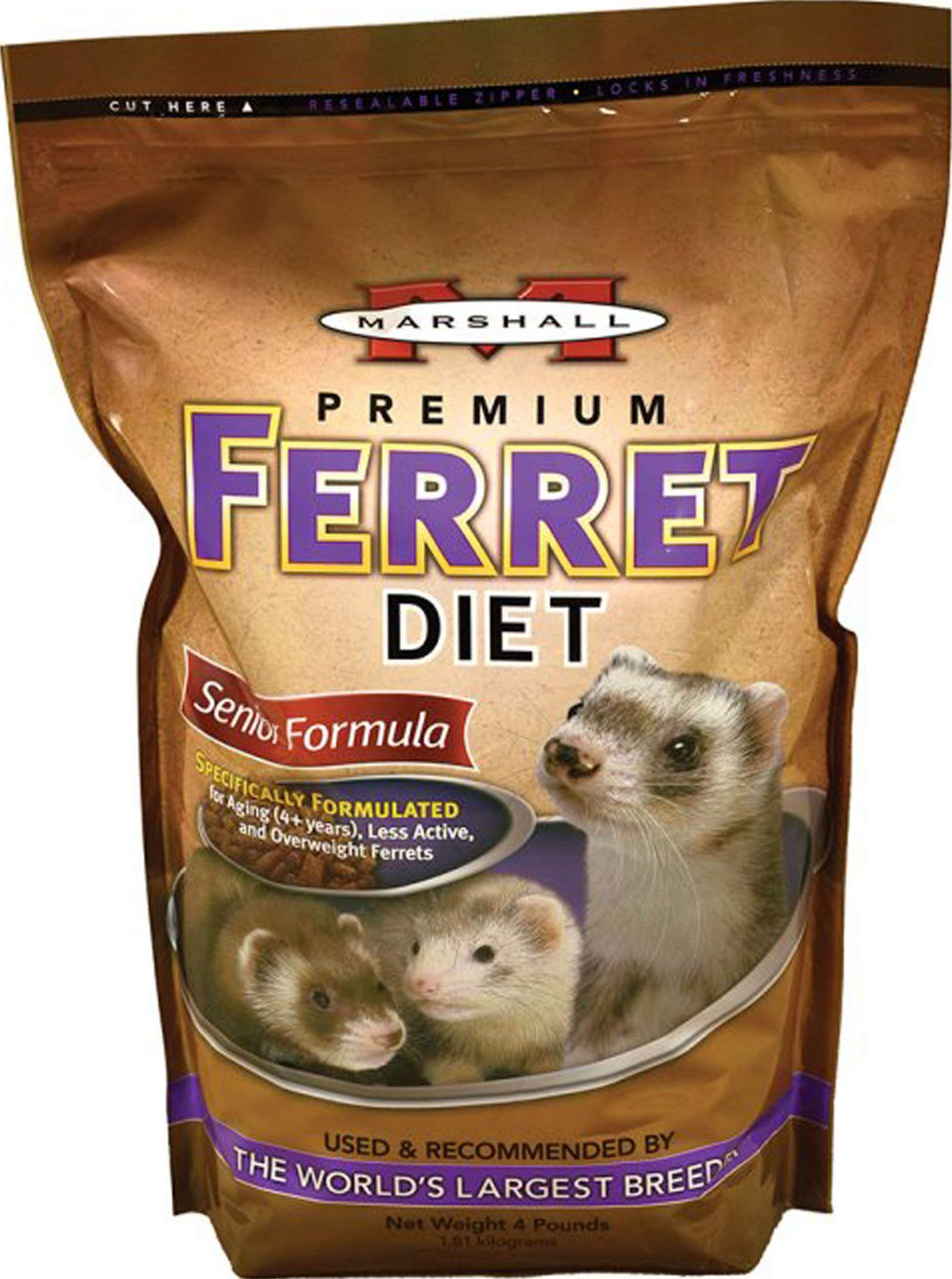Senior Ferret Food Diet