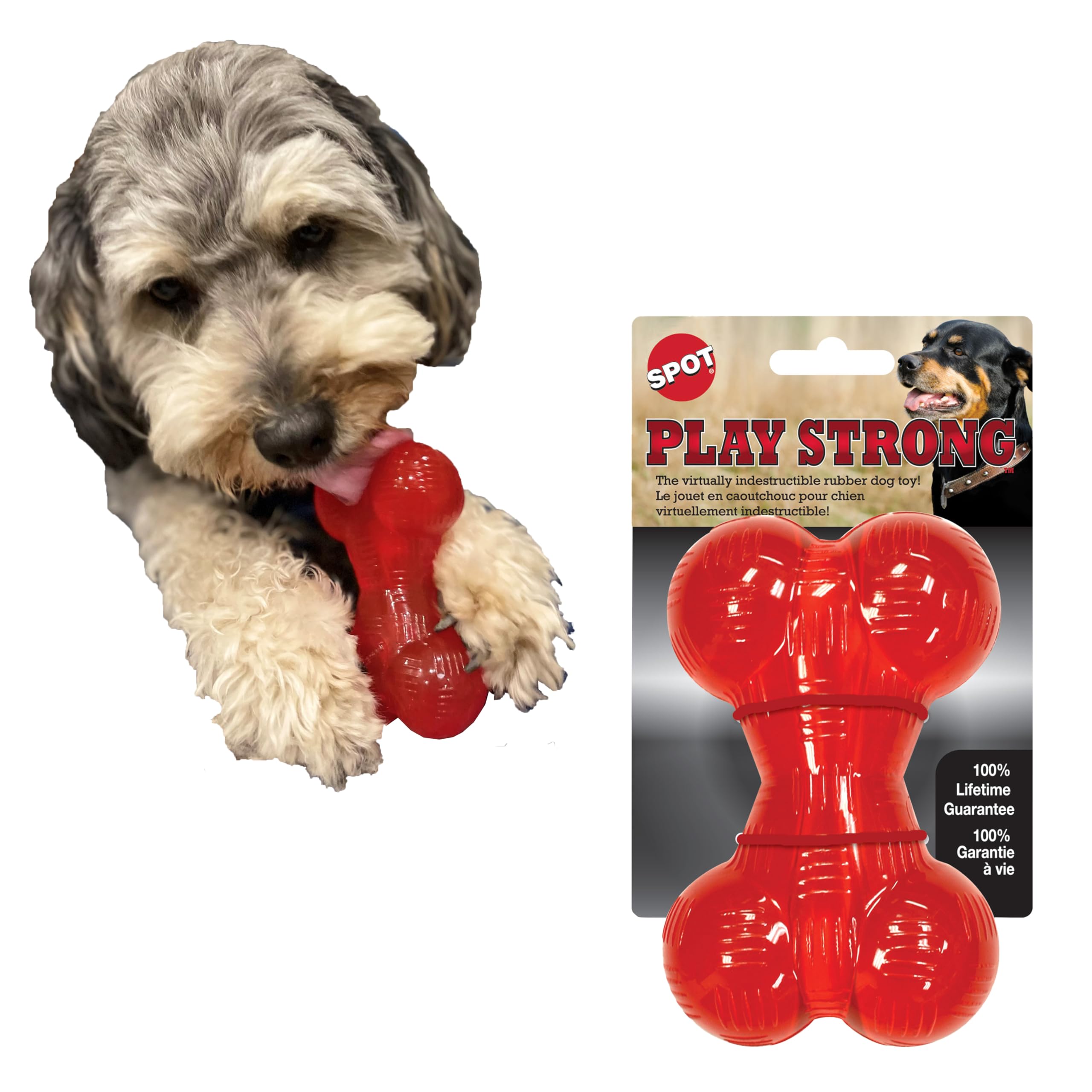 SPOT Play Strong Bone- Durable TPR Long Lasting Dog Chew for Aggressive Chewers, Hole for Treats, Virtually Indestructible Toy f