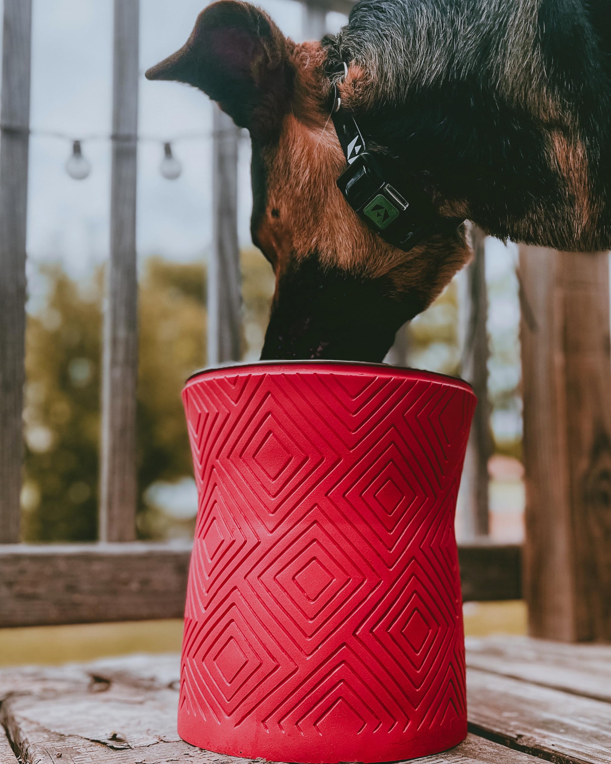 Pet Junkie Santa Fe Single Elevated Dog Bowl Stand with Removable Stainless Steel 44oz Inner Bowl for Medium to Large Breed - Ra