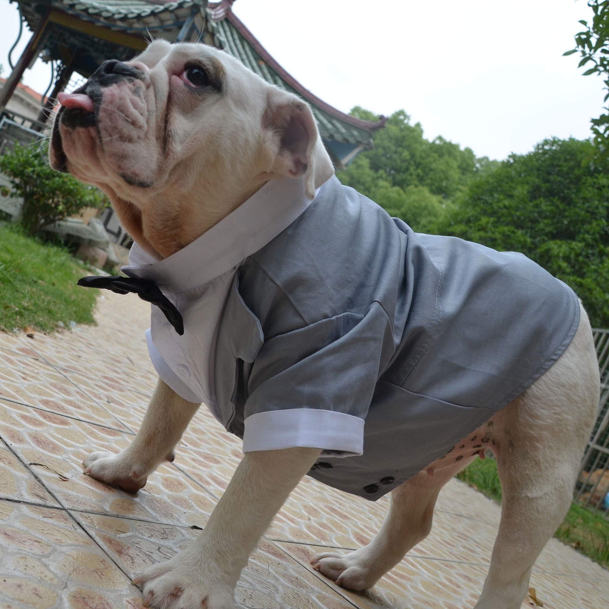 Lovelonglong Bulldog Costume Dog Suit Formal Tuxedo With Black Bow Tie Wedding Clothes For Pugs/French Bulldog/English Bulldog/American Pit Bull Gray B-L