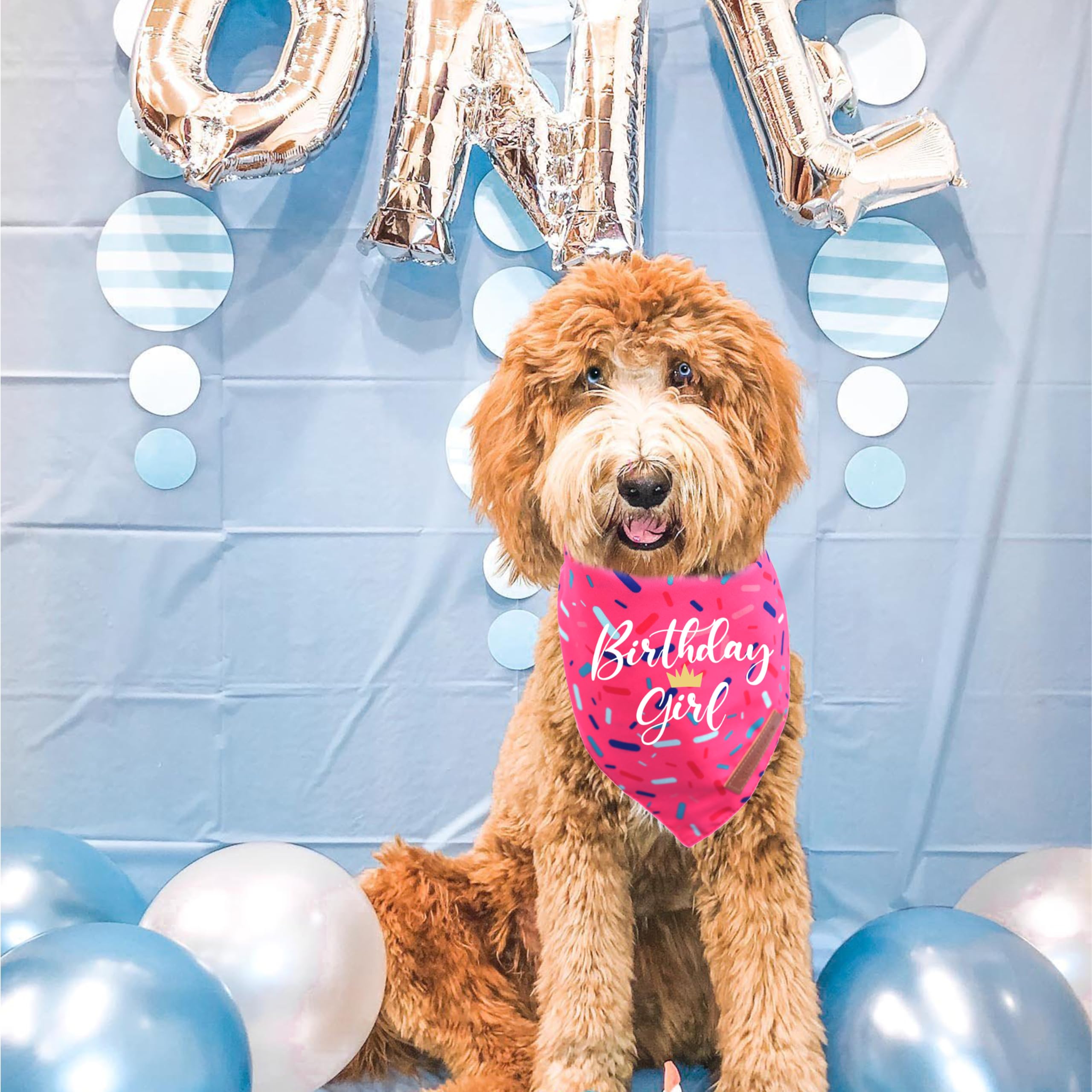 Realeaf Birthday Girl Dog Bandana, Dog Birthday Party Supplies,Premium Durable Fabric, Bandana For Large And Extra Large Dogs (P