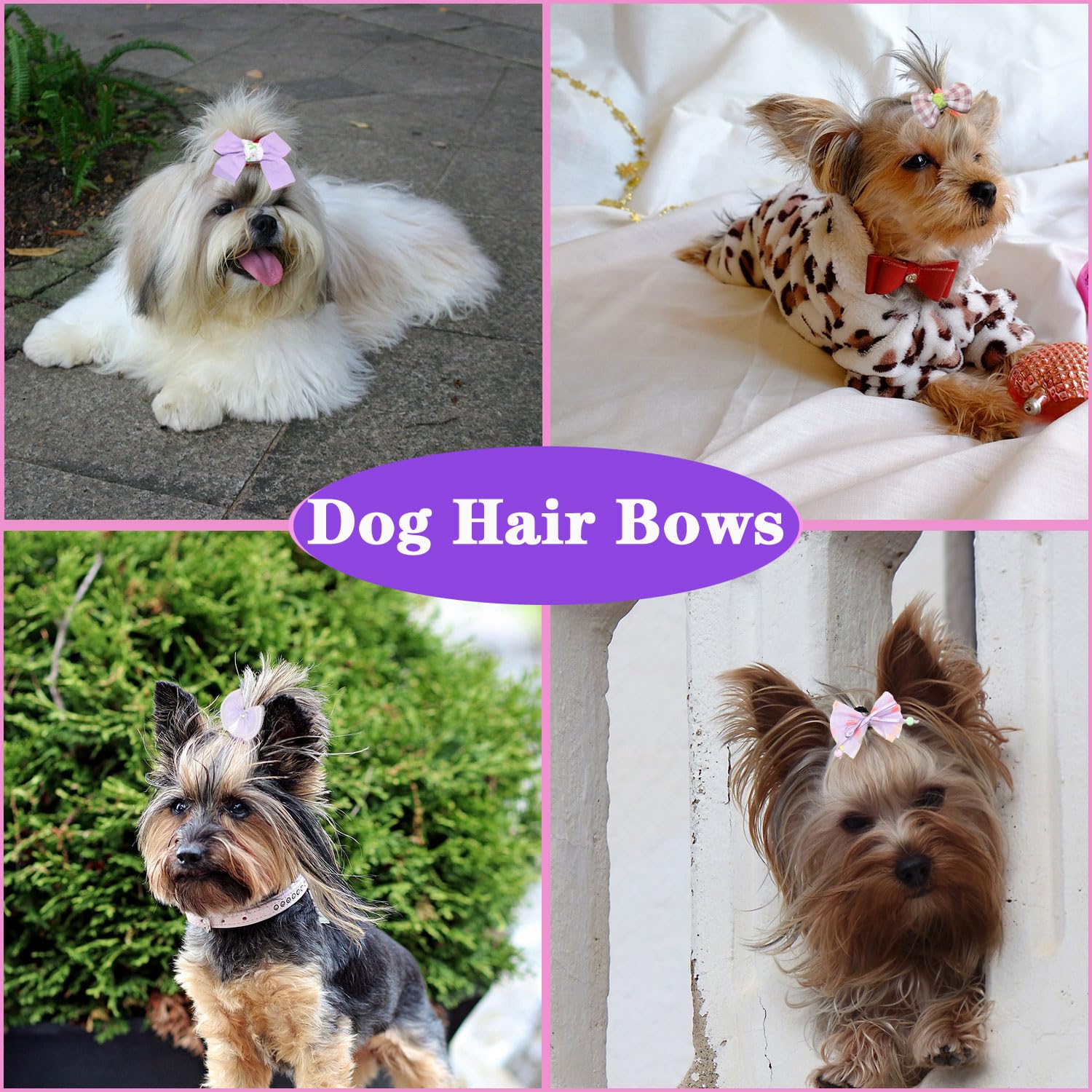 Zaabaazina 20Pcs Purple Dog Hair Bows For Small Dogs - Yorkie Puppy Hair Accessories With Rubber Bands, Cute Bowknot Hair Clips