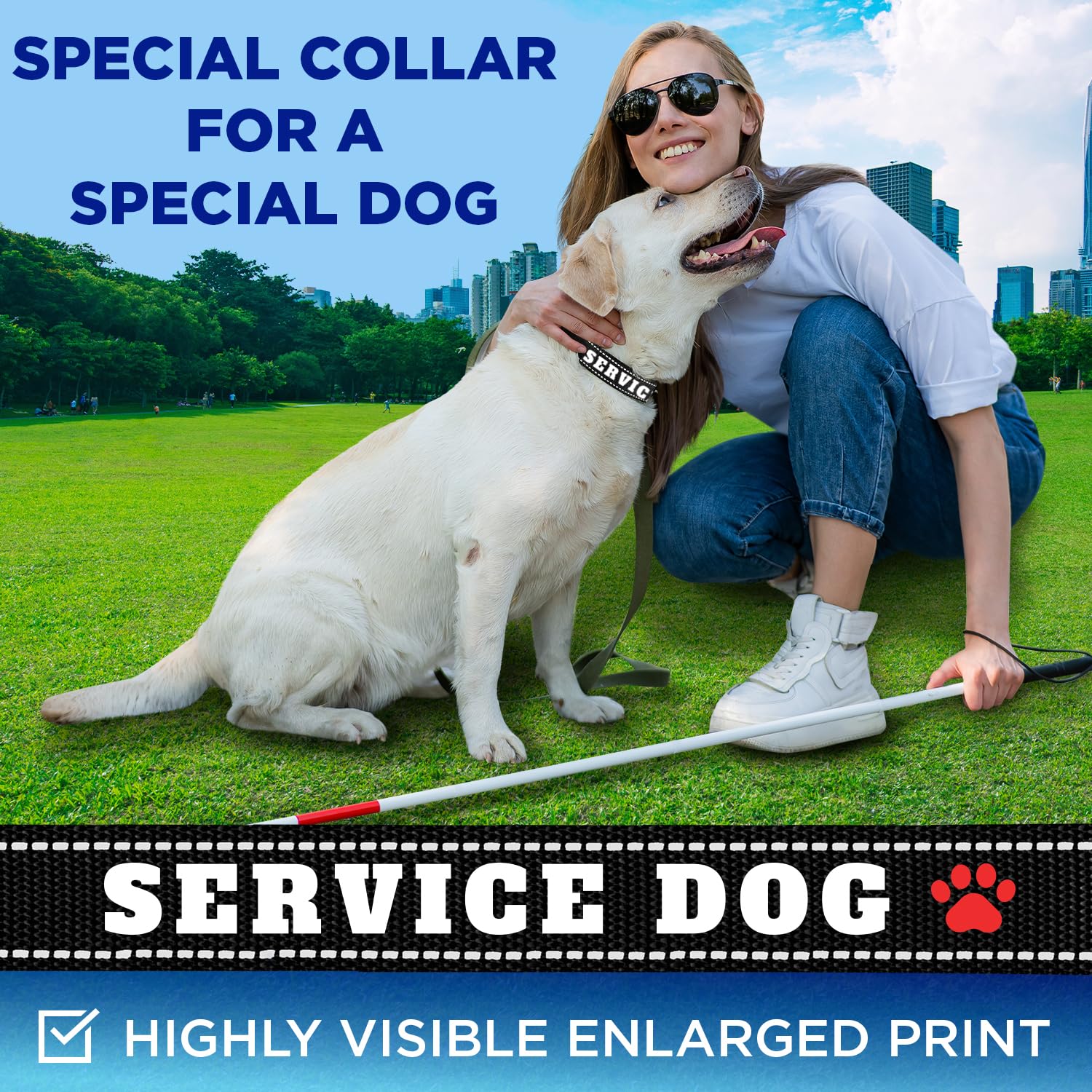 Teceum Reflective Pet Collar - Black - Service Dog - M - Basic Nylon Dog Collar - Quick Release Buckle - Fits Small, Medium And