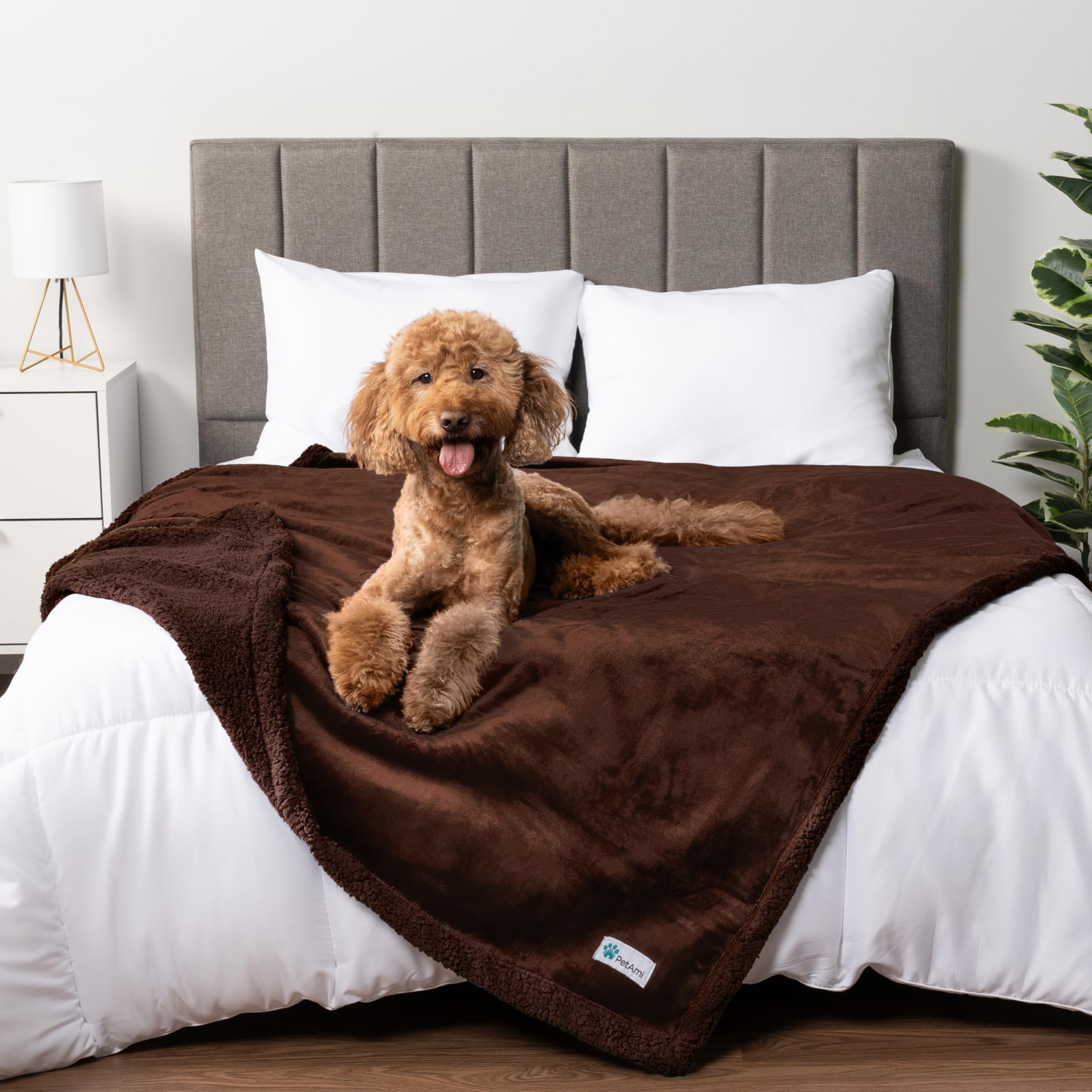 Petami Waterproof Dog Blanket For Bed, Xl Dog Pet Blanket Couch Cover Protection, Sherpa Fleece Leakproof Bed Blanket For Crate Kennel Sofa Furniture Protector, Reversible Soft Plush 80X60 Brown Brown
