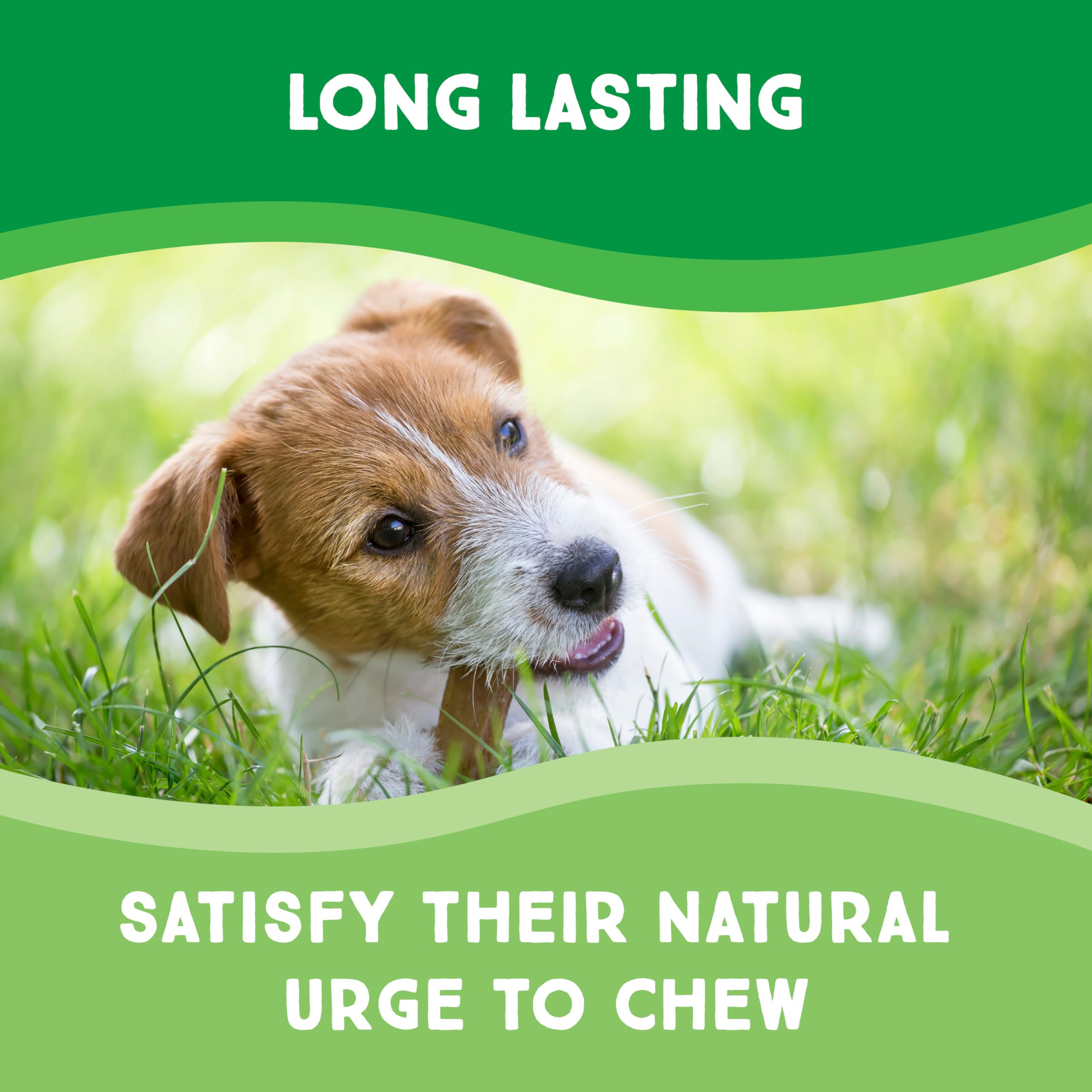 GreenCow Rawhide Chips - Premium Large Dog Chews, 1-Pound Bag, Ideal for Aggressive Chewers