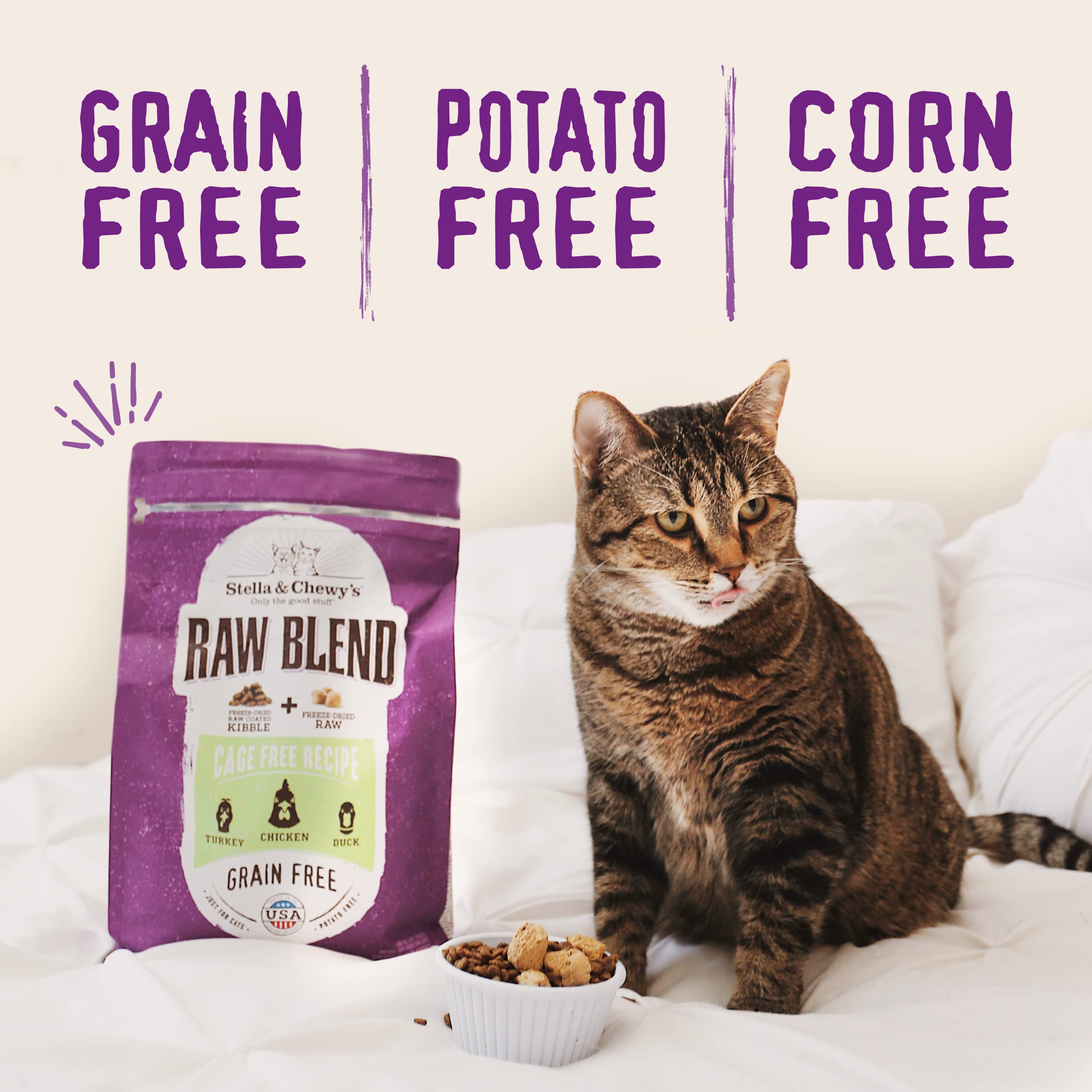 Stella & Chewys Raw Blend Premium Kibble Cat Food - Grain Free, Protein Rich Meals - Cage-Free Poultry Recipe - 2.5 lb. Bag