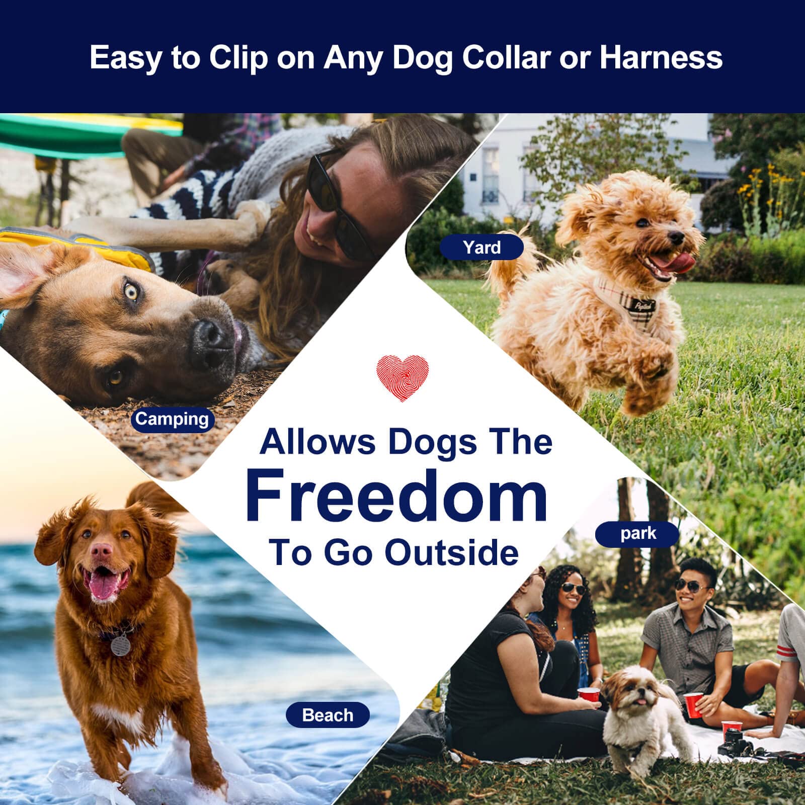 Tie Out Cable For Dogs Up To 300Lbs,100Ft Extra Strong 1000Lbs Break Strength Tie-Out Tether Trolley Training Lead,Dog Run Cable For Yard Garden Park Camping Outside (Orange, 300Lbs 25Ft)