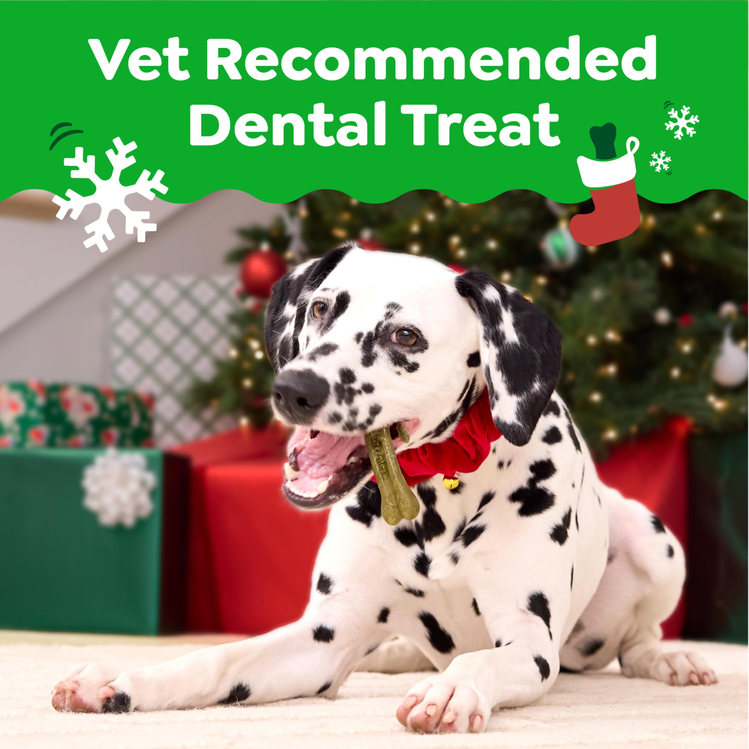 Greenies Regular Dental Dog Treats, Gingerbread Flavor, Limited Edition, 12 oz. Pack (12 Treats)