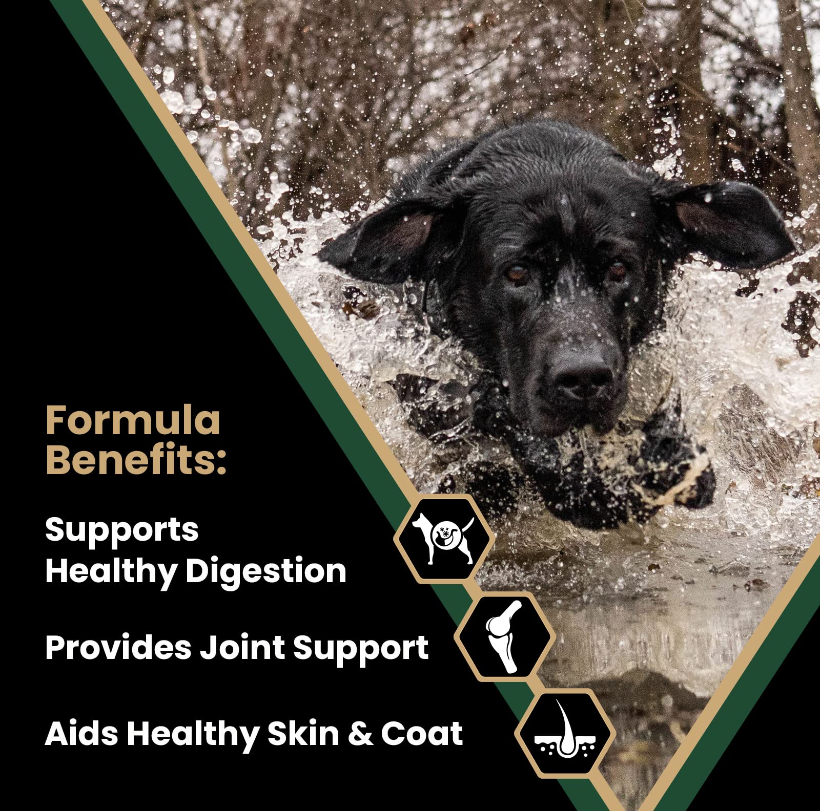 Victor Super Premium Dog Food - Performance Dry Dog Food - 26% Protein for Active Adult Dogs - Includes Glucosamine and Chondroi