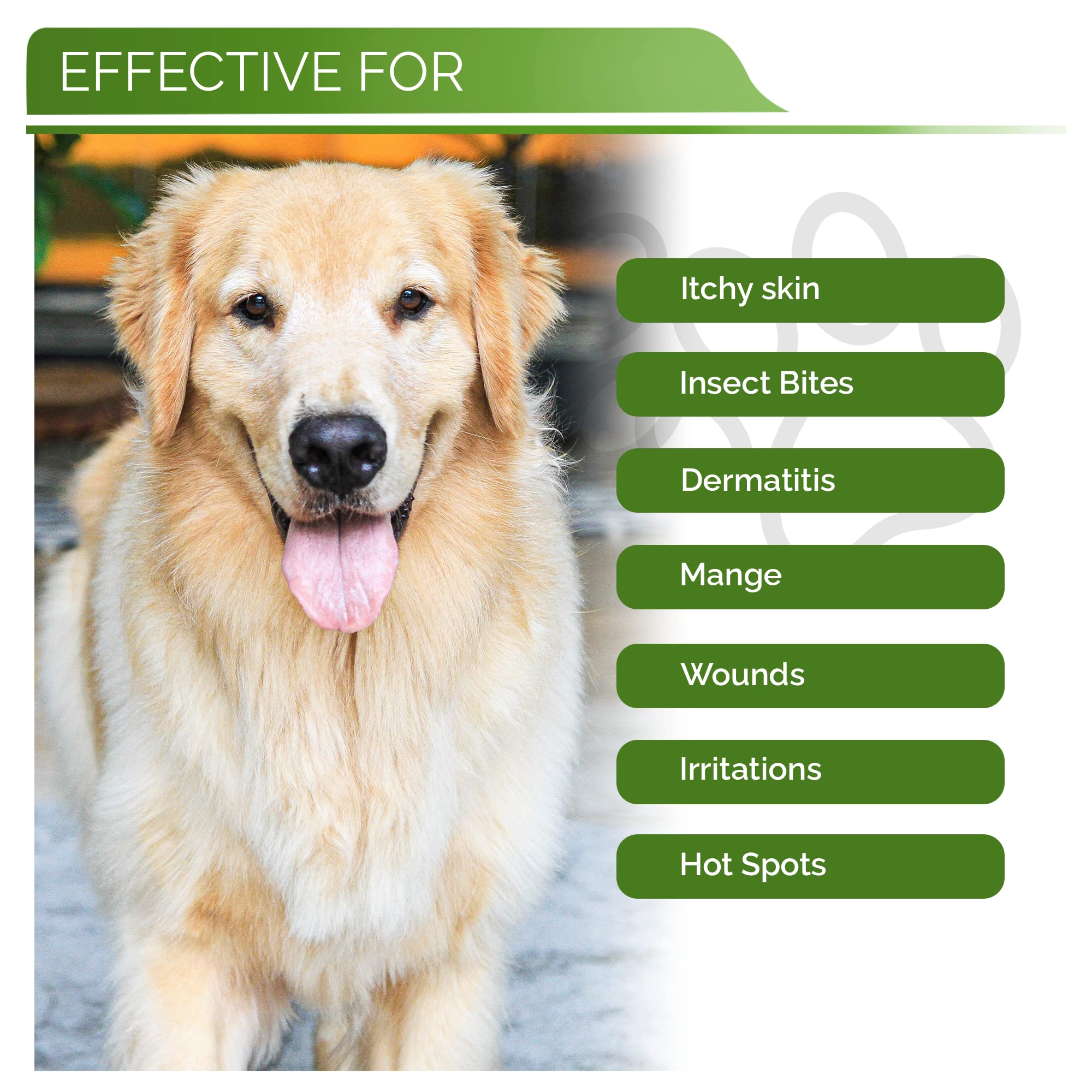 Hypoallergenic Dog Coat Conditioner- Detangles & Softens Fur, Calms Itching & Dryness, Organic Aloe Vera & Manuka Honey Soothes