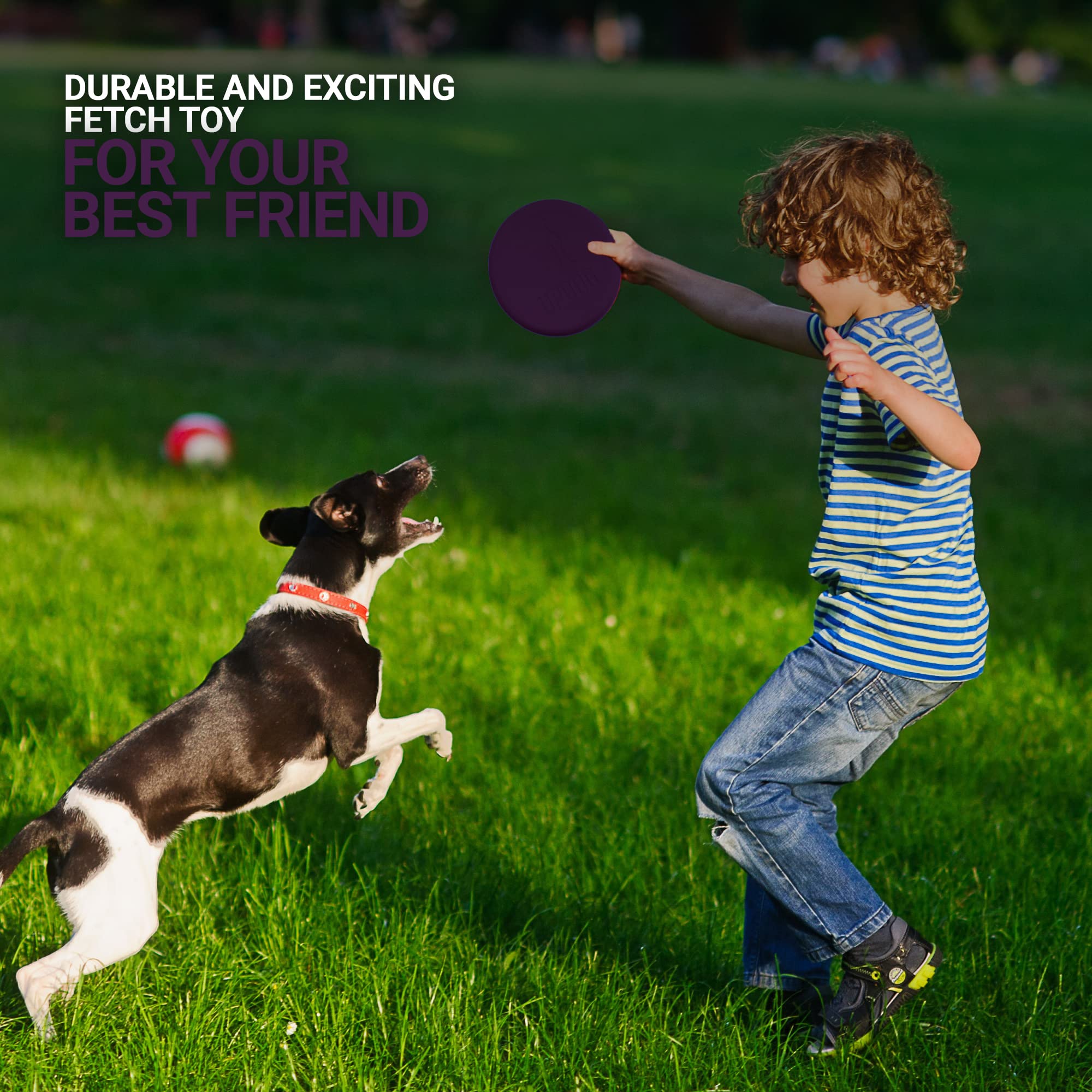 Updog Products 6-Inch Dog Frisbee Small, Lightweight And Durable Frisbee For Dogs Made In Usa Bright Colored Frisbee Dog Toy (Purple)