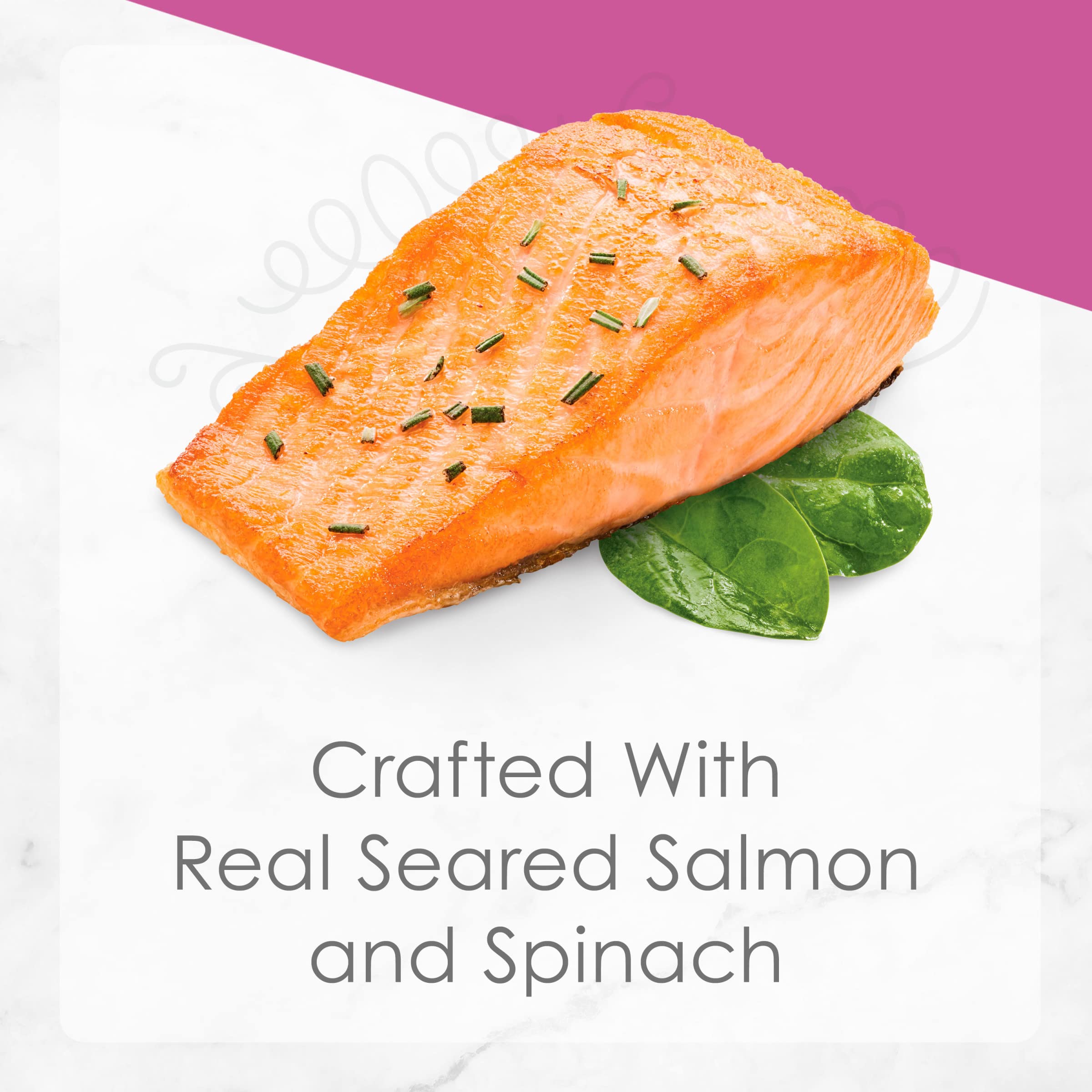 PURINA Fancy Feast Gourmet Gravy Wet Cat Food, Seared Salmon with Spinach, (12) 2.8 oz. Tubs
