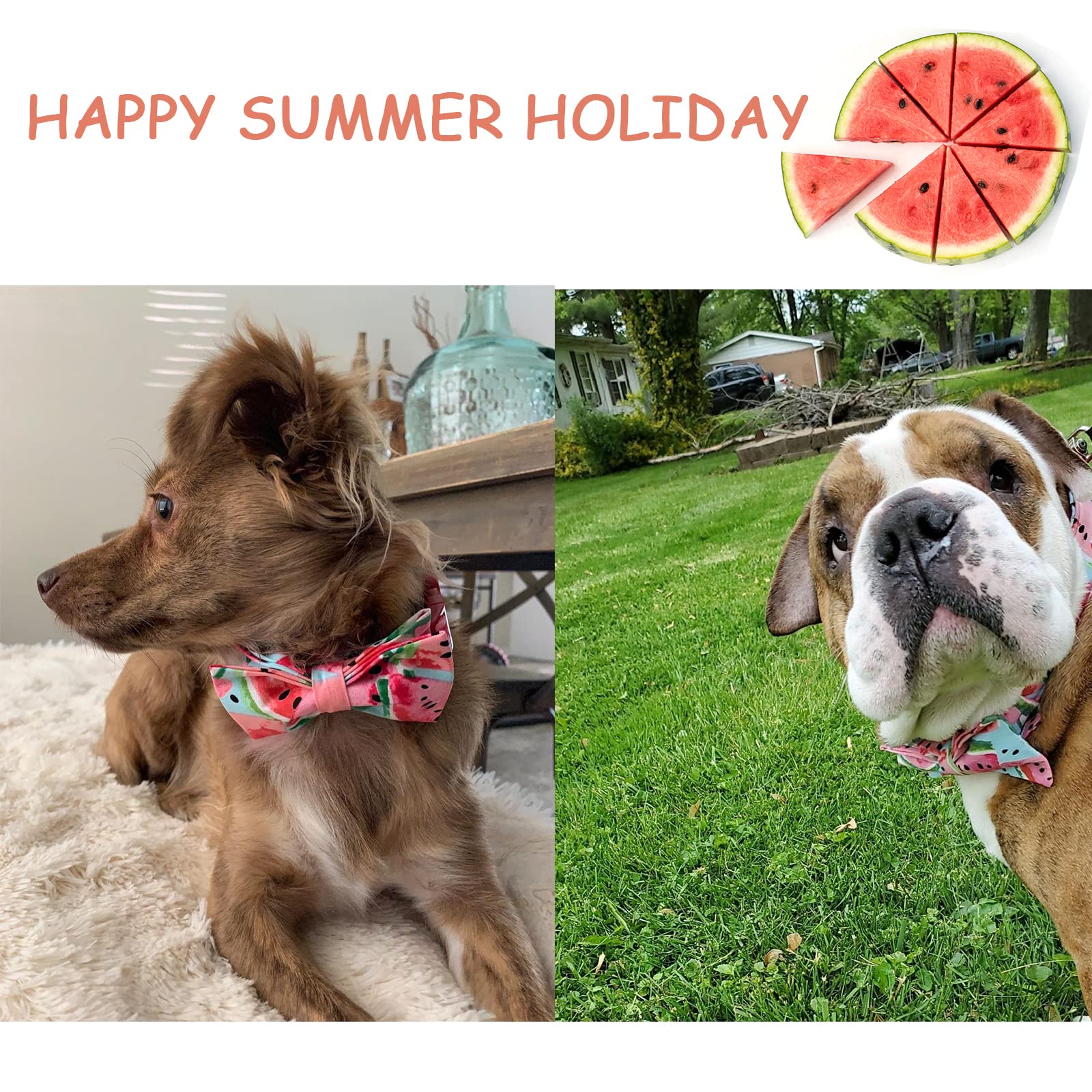 Unique Style Paws Bowtie Dog Collar Cotton Watermelon Collar Adjustable Summer Collar For Small Medium Large Dogs - Xl