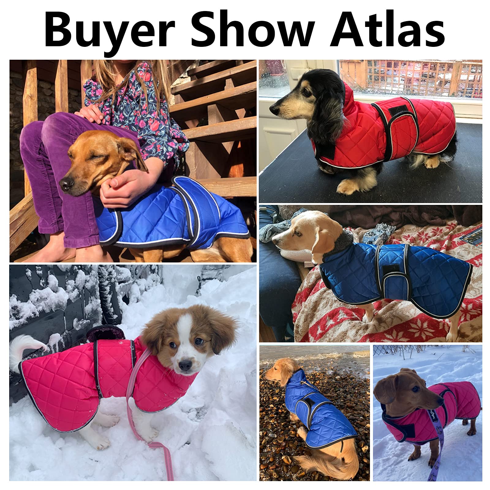 Warm Thermal Quilted Dachshund Coat, Dog Winter Coat With Warm Fleece Lining, Outdoor Dog Apparel With Adjustable Bands For Medium, Large Dog-Pink-S