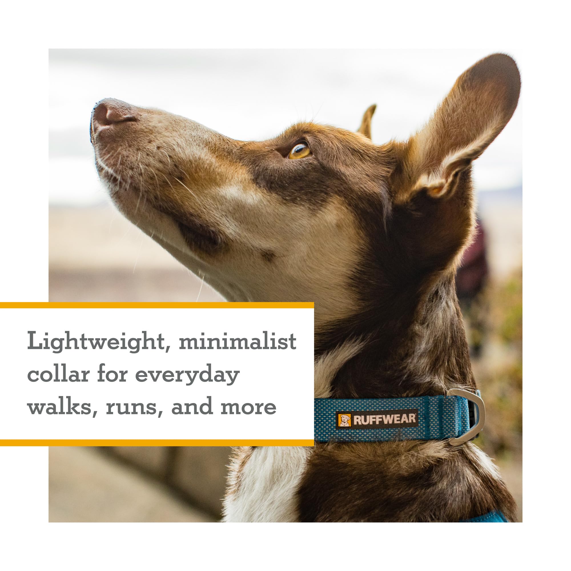 Ruffwear, Hi & Light Dog Collar, Minimal And Ultralight Collar For Everyday Walks And Runs, Basalt Gray, 9-11
