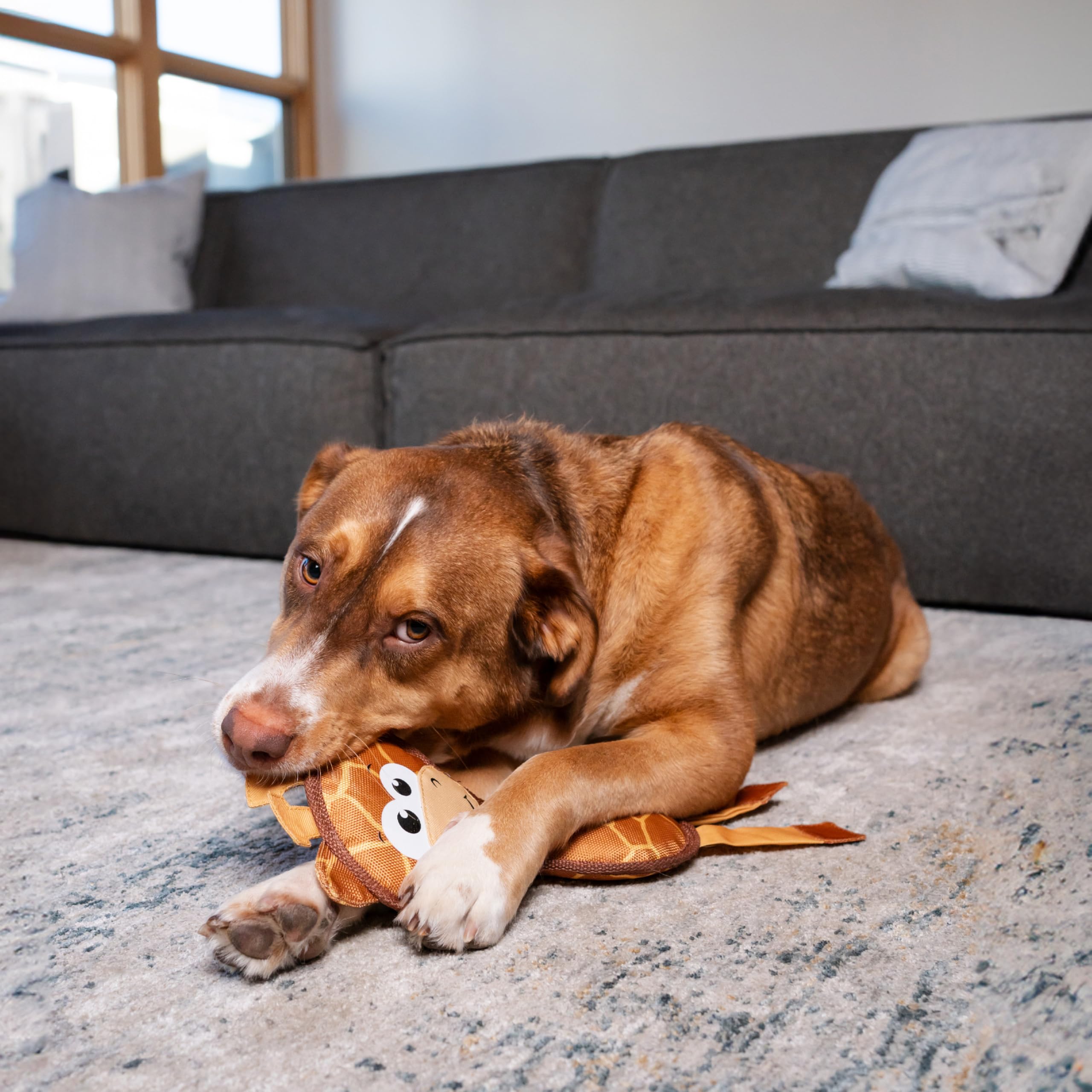 Outward Hound Fire Biterz Giraffe Plush Dog Toy, Medium, Brown Firehose, Model 69861