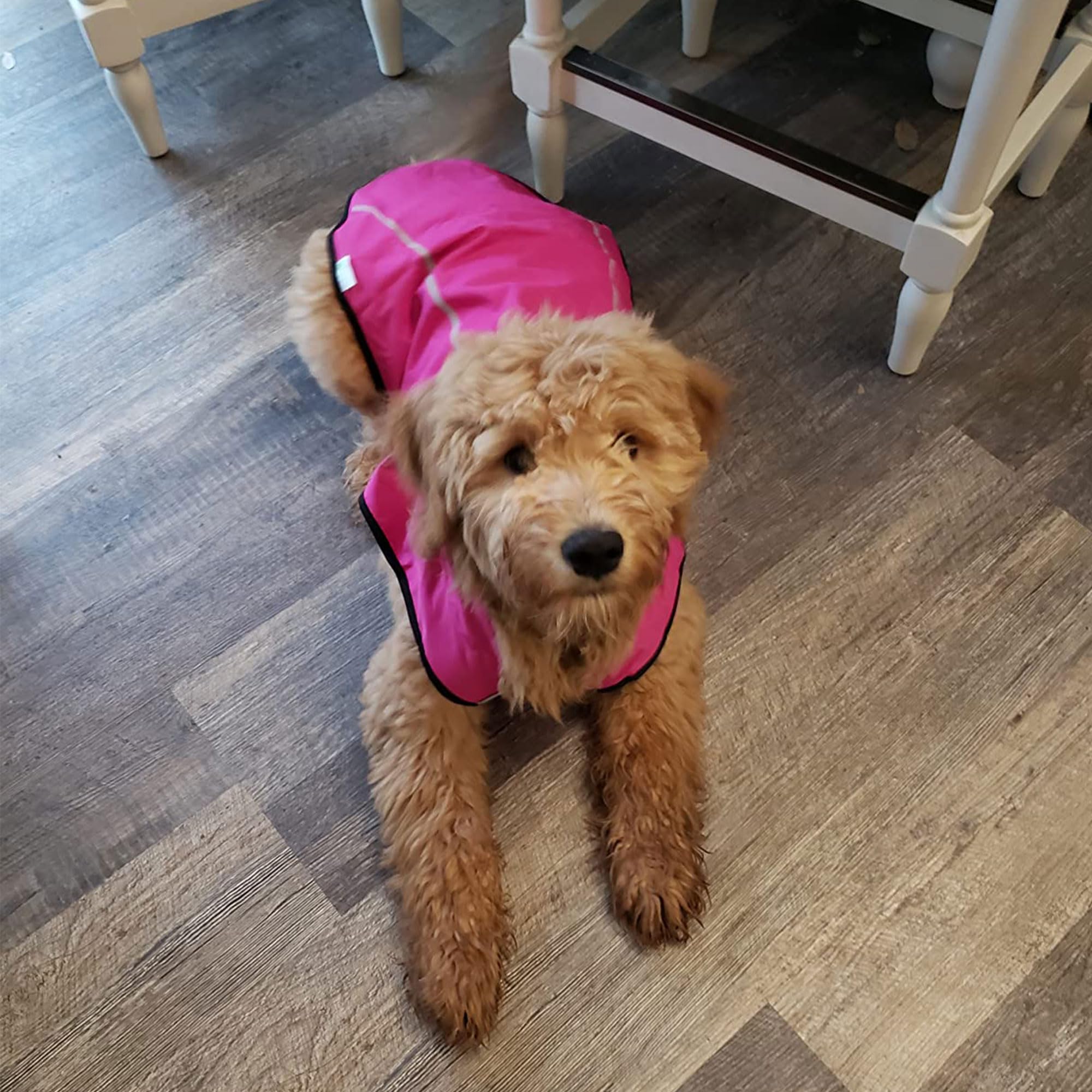 Mile High Life Dog Raincoat, Adjustable Waterproof Reflective Rain Jacket For Small Medium Large Dogs, Lightweight Breathable Pe