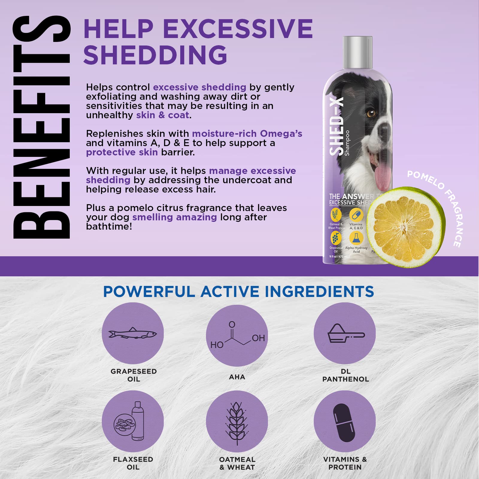 Shed-X Shed Control Shampoo for Dogs, 16 oz - Reduce Shedding - Shampoo Infuses Skin and Coat with Vitamins and Antioxidants to