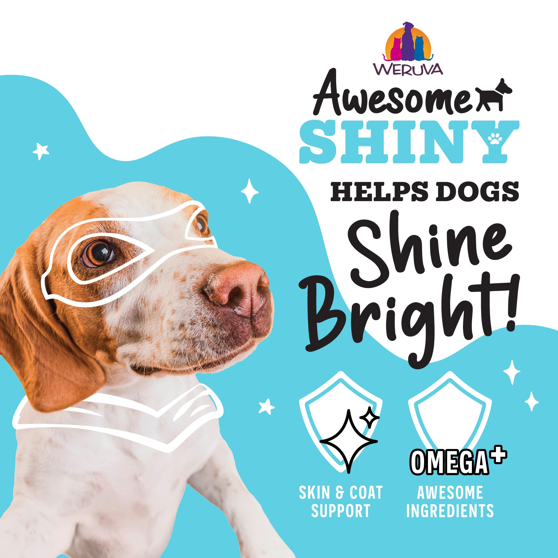 Weruva Awesome Shiny Wet Dog Food, Chicken & Brown Rice with Veggies, 6oz Can (Pack of 8)