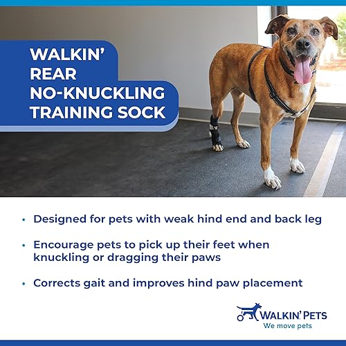 Walkin Rear No-Knuckling Training Sock  Helps Dogs Pick up Their Feet When Knuckling Under or Dragging Their Rear Paws