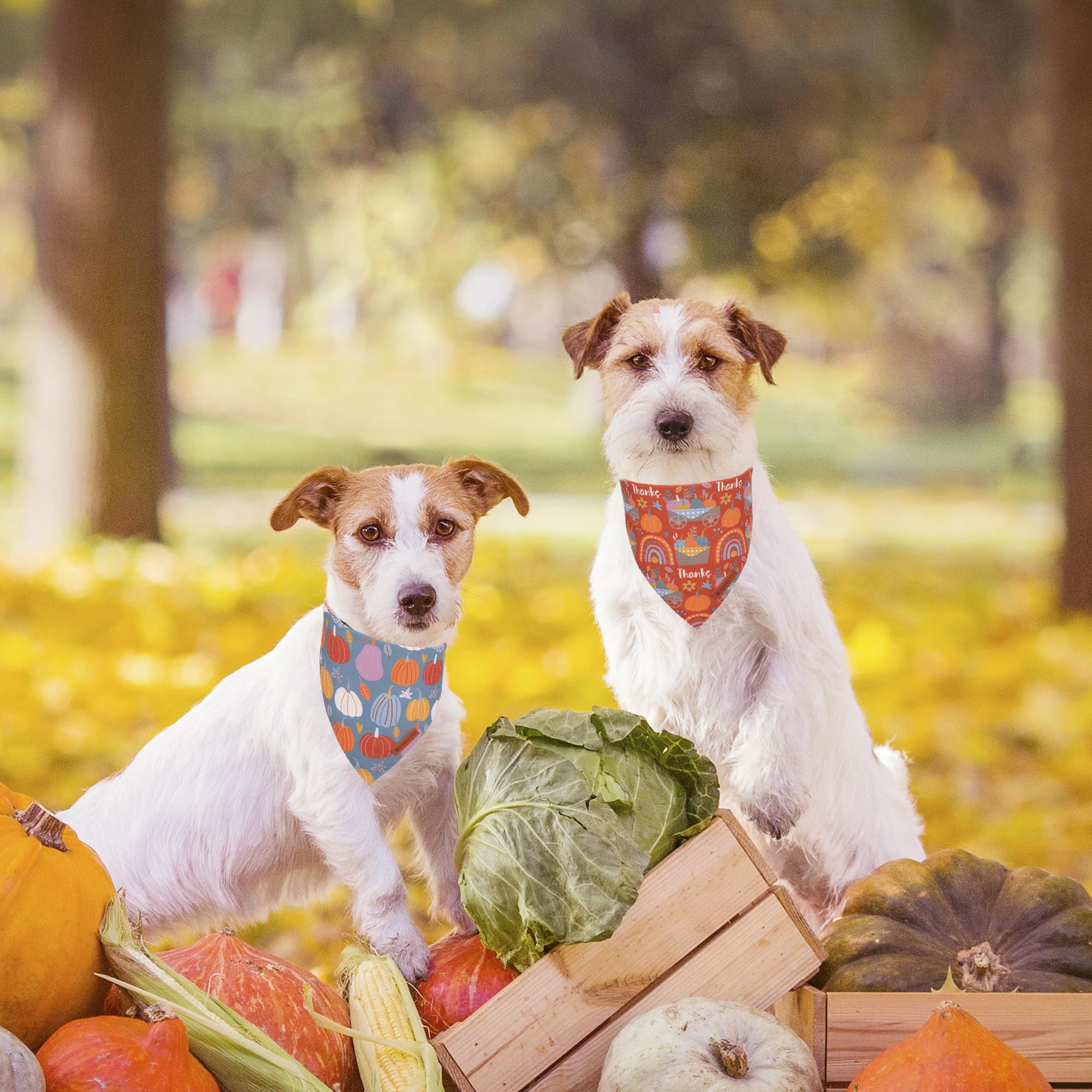 ADOGGYGO Thanksgiving Dog Bandana, Blue Orange Pumpkin Dog Scarf, Adjustable Fit Dog Fall Thanksgiving Bandanas for Large Small