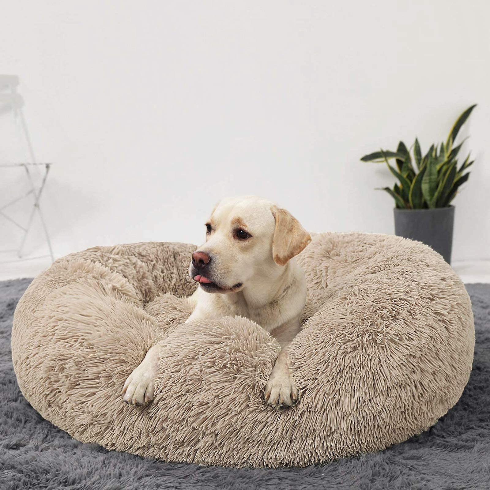 Hachikitty Dog Beds Calming Donut Cuddler, Puppy Dog Beds Large Dogs, Indoor Dog Calming Beds Large,30 ' '