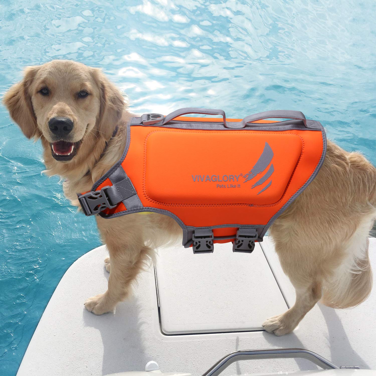 Vivaglory Lightweight Dog Life Jacket, Pet Life Preserver Life Vest Skin-Friendly Neoprene For Large Dogs With D-Ring And Quick