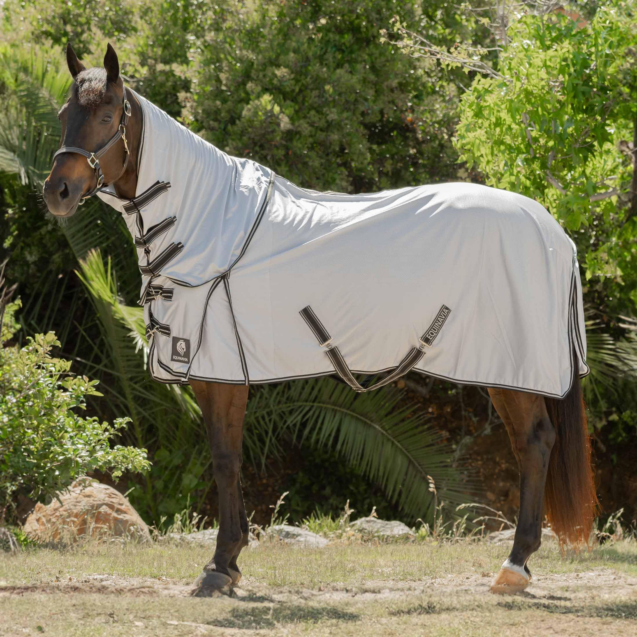 Equinavia Aktiv Athletic Detachable Neck Fly Sheet | Ultralight Poly Fabric | Extended Protection - Silver Gray - 81 In