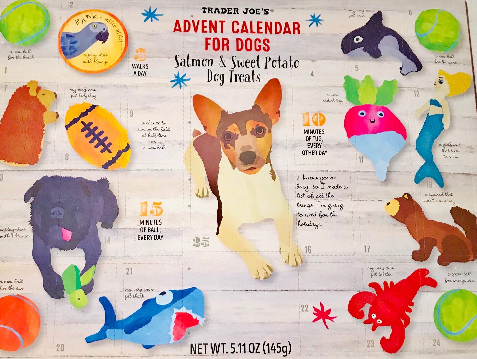 Trader Joes Advent Calendar for Dogs with Treats- Holiday 2019-For Pets-Healthy