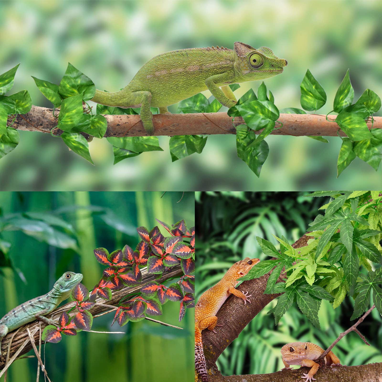Katumo Reptile Plants, Amphibian Hanging Plants With Suction Cup For Snake, Bearded Dragons, Lizards, Geckos, Toads, Hermit Crab Tank Pets Habitat Decorations
