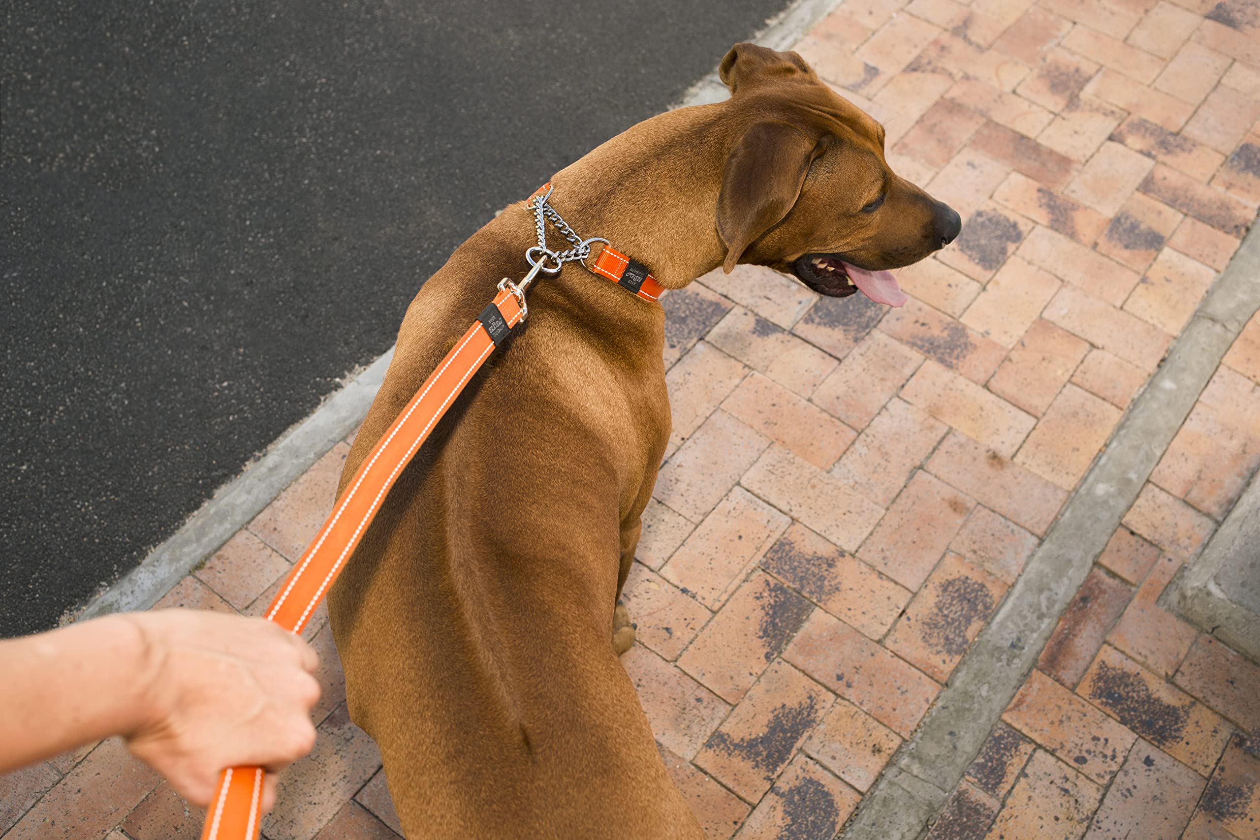 Rogz Utility Extra Large 1-Inch Reflective Lumberjack Obedience Half-Check Dog Collar, Orange