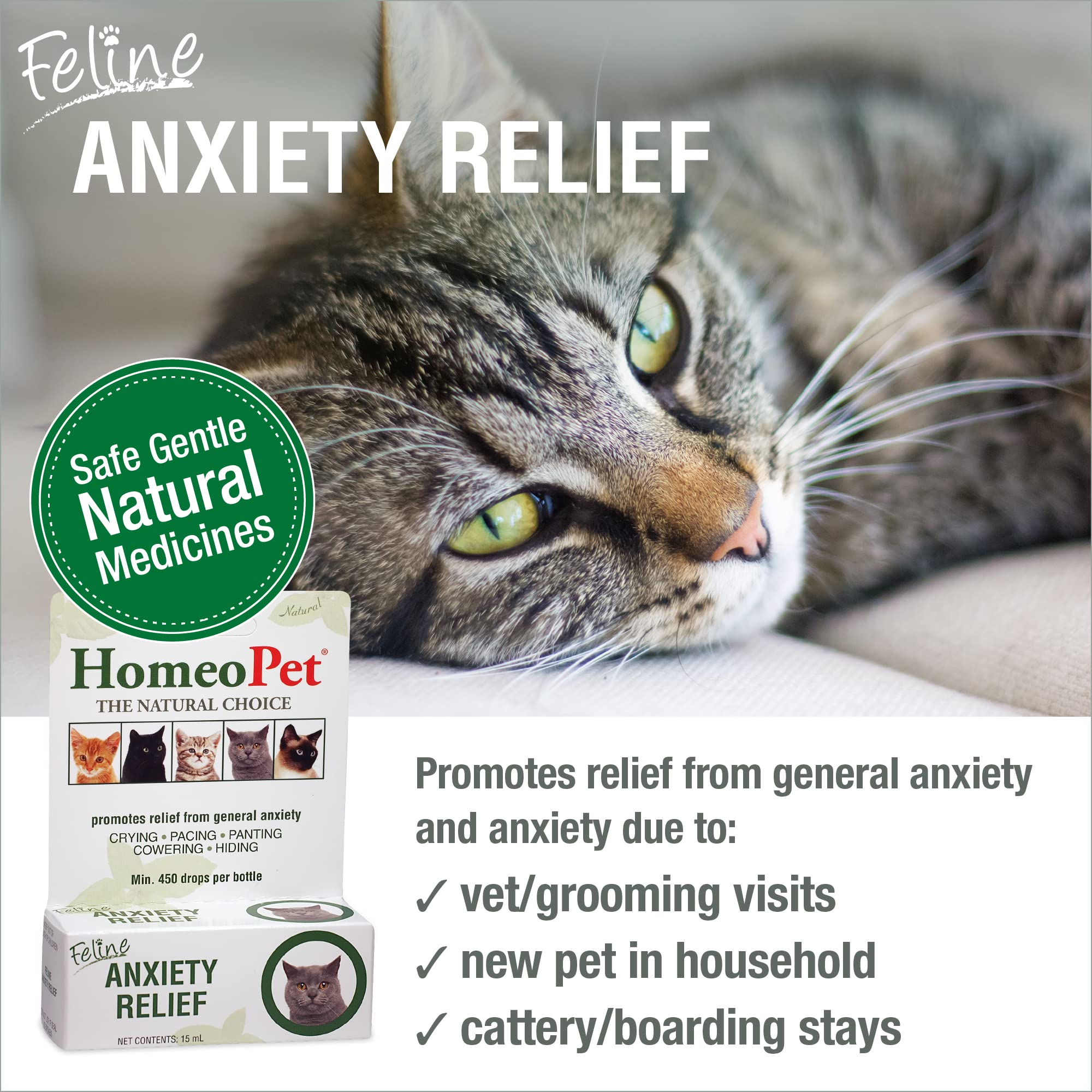HomeoPet Feline Anxiety Relief, Natural Stress and Anxiety Support, Anxiety Supplement for Cats, 15 Milliliters