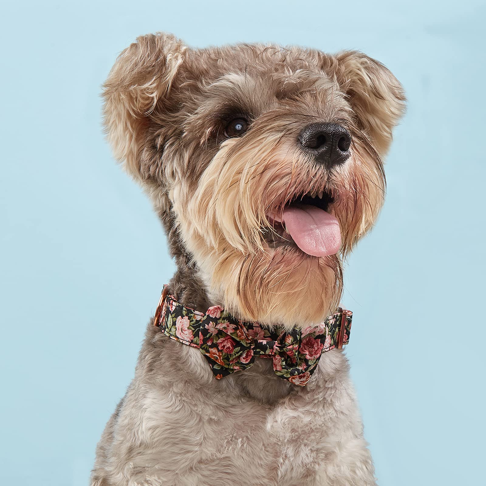 Dog Collar Adjustable With Detachable Bowtie/Flower For Medium Dog,Girl Dog Collar Pet Collars With Safety Buckle