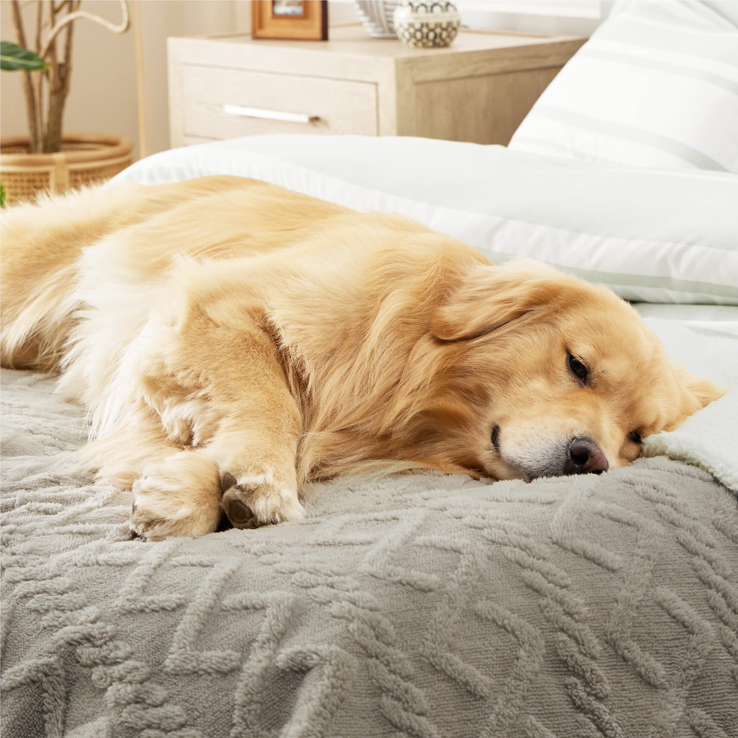Bedsure Waterproof Dog Blankets For Bed - Pet Blanket For Bed Couch Protector Washable, Jacquard Coral Fleece Cat Throw Blanket,